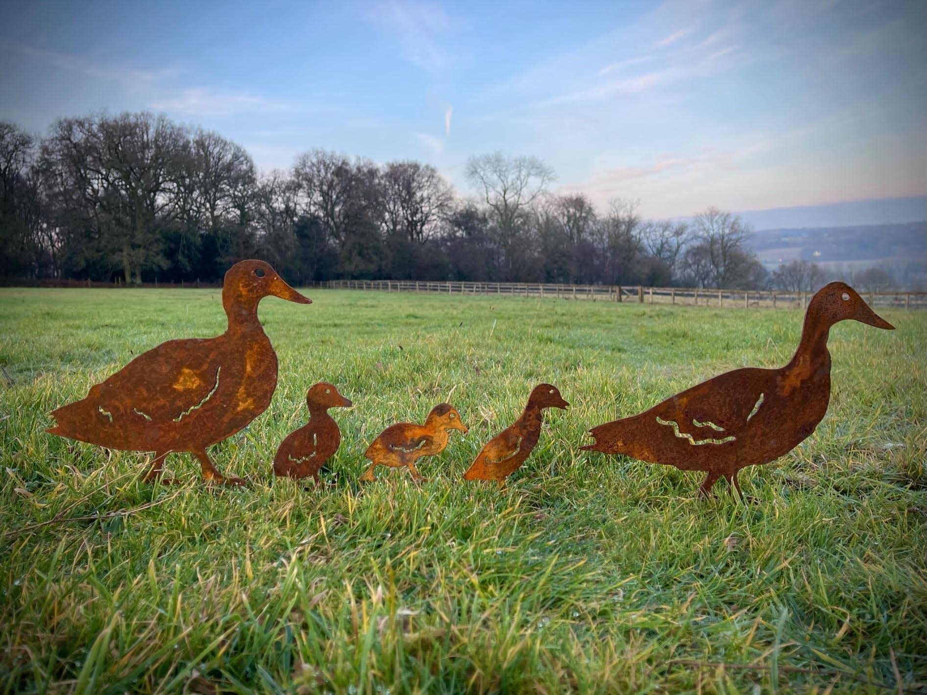 Esterno Rusty Metallo Anatra Famiglia Quack Fattoria Animali Giardino Palo Giardino Arte Stagno Arte Vegetale Patch Fiore Letto Scultura