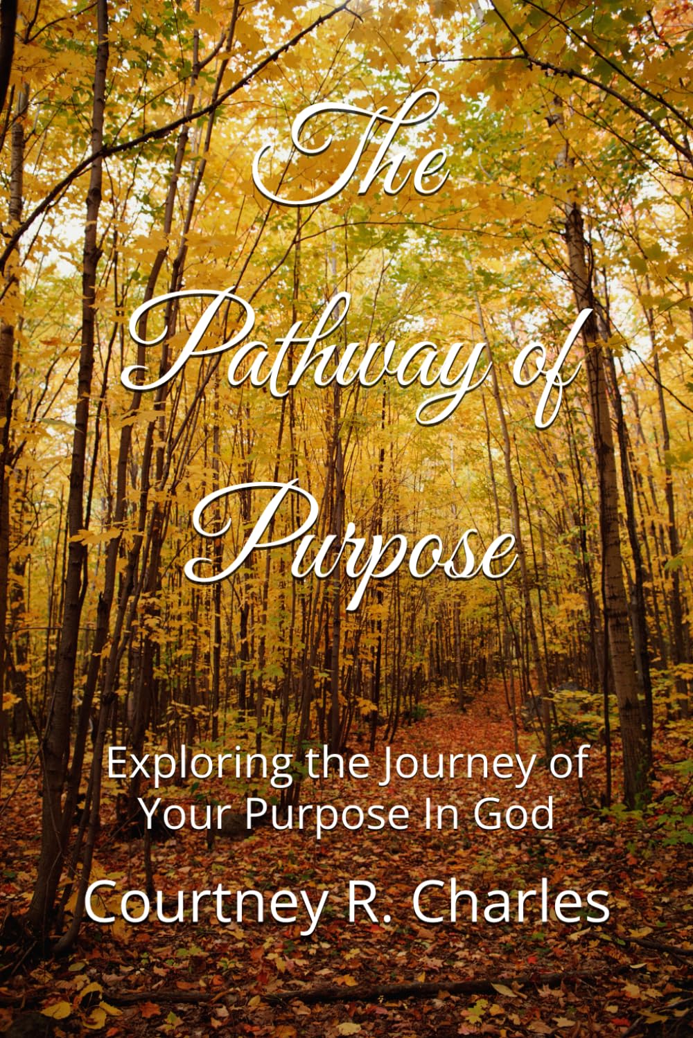 The Pathway of Purpose: Exploring the Journey of Your Purpose In God