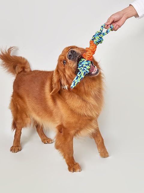 Foto 6 de 8 de FOFOS Juguete para Perros Cuerda
