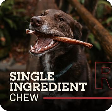 Redbarn Braided Bully Sticks 5 Dog Treats, 5-in chew, case of 30