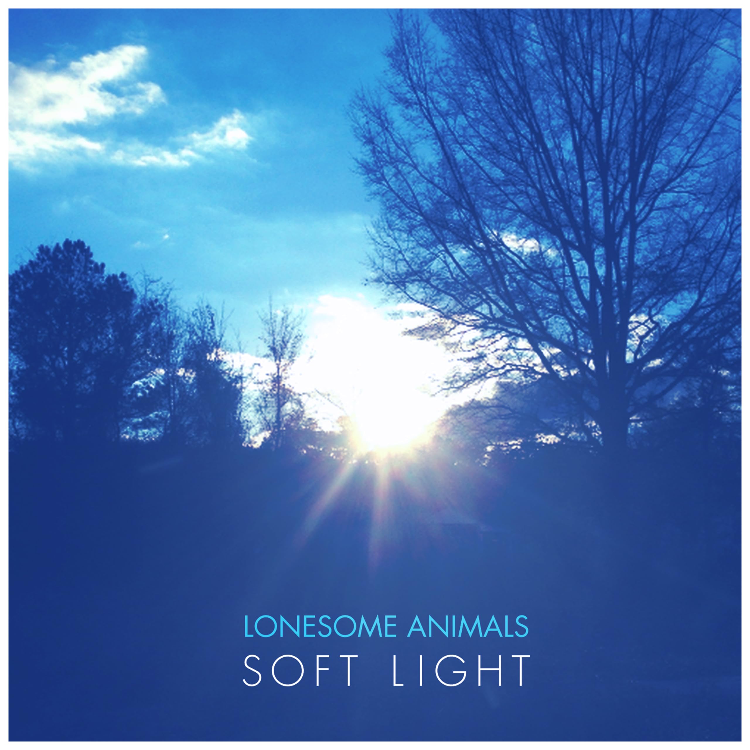 Lonesome Animals