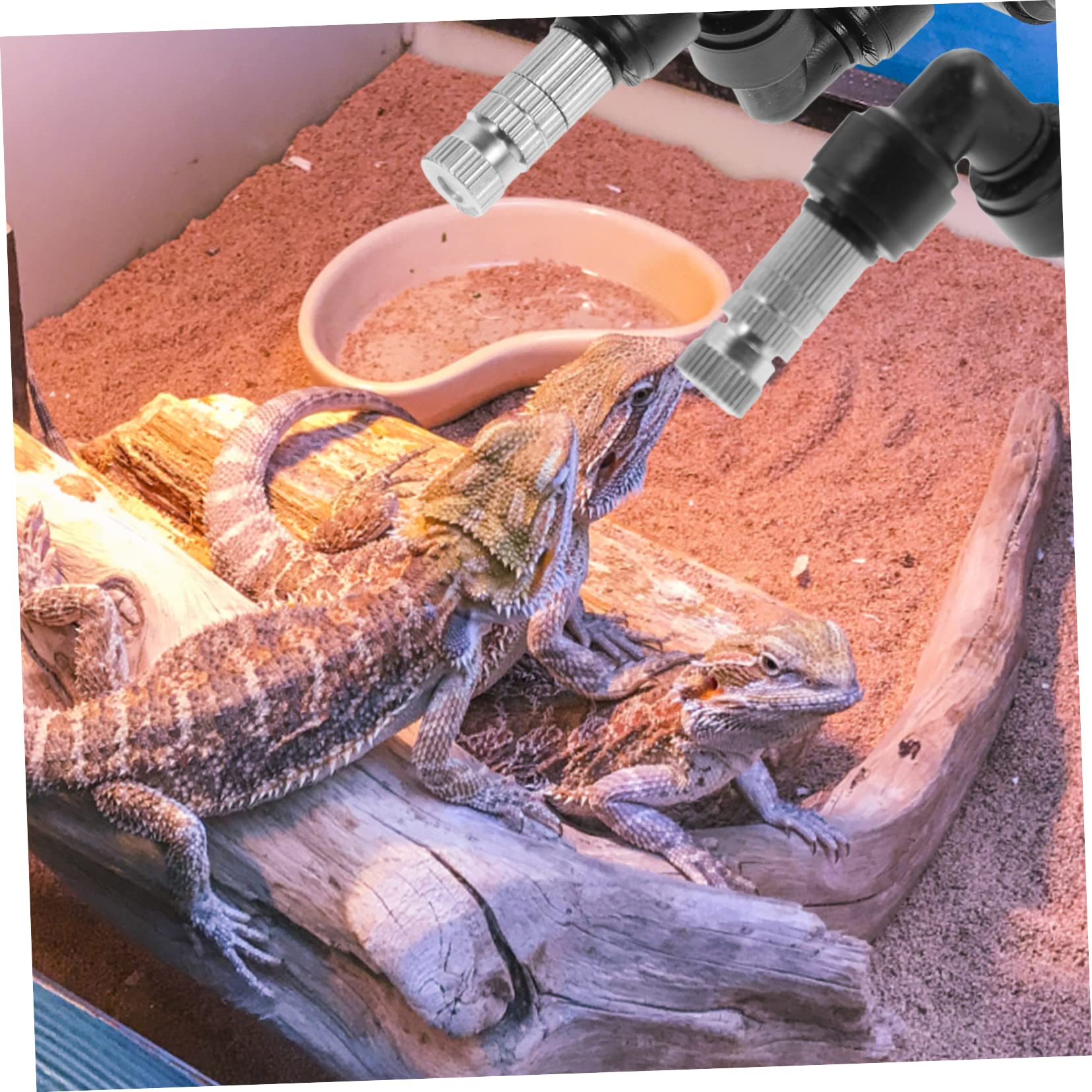 INOOMP 4piezas Rociador De Para Terrarios De Reptiles Cabezal De Pulverización Para Paisajismo Diseño y Instalación Para Humidificar y Enfriar Entornos Reptilianos