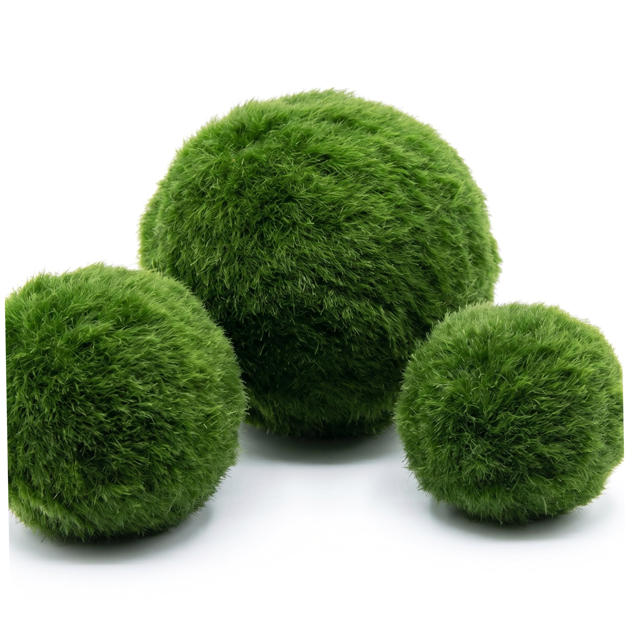 Striegro Marimo Moss Balls Live, 3PCS Live Marimo Moss Balls Aquarium for Fish Tank & Terrarium Decor - Assorted Sizes (2.4-4cm).