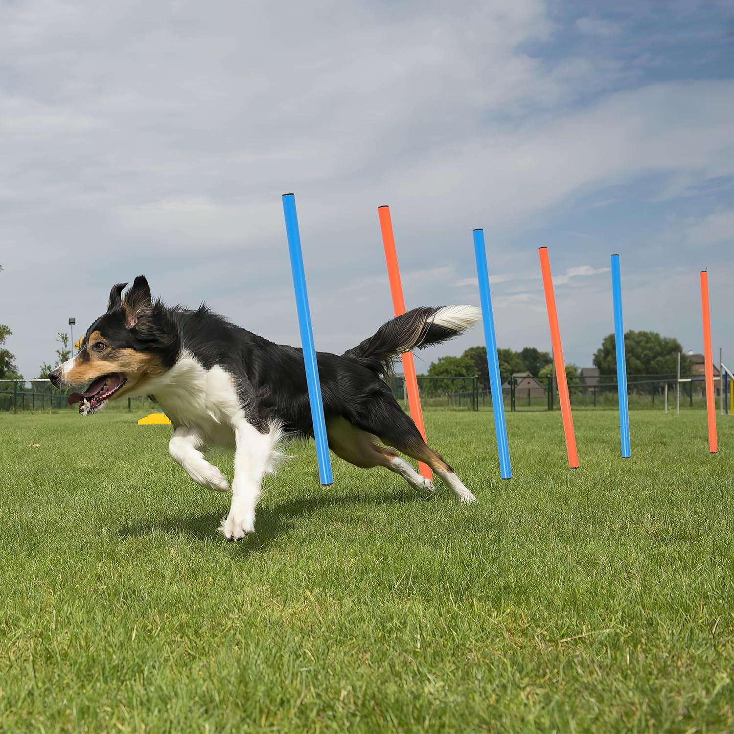 Agility Set Hunde,5-teilig mit Hundetunnel,Slalom,Hürde,Sprungring | Agility-Ausrüstung für Hunde,8 Slalomstangen,Höhenverstellbar,Tragetasche,Hundetraining,Hundesport,Garten oder Park