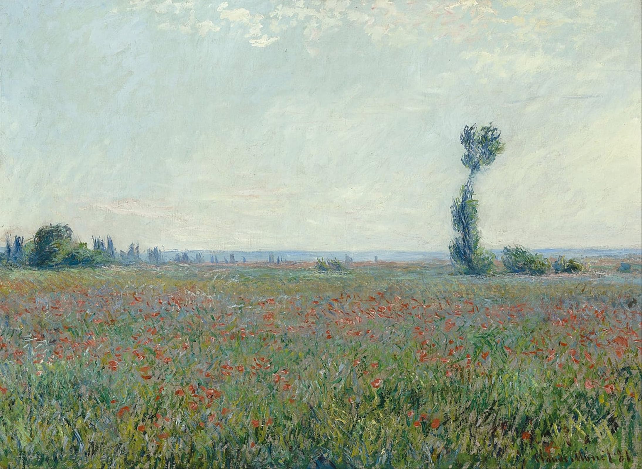 POSTERIIk Famous Print Pop Art Wall Art Graffiti Poppy Field by Claude Monet Art Prints for Home Decor 60x90cm