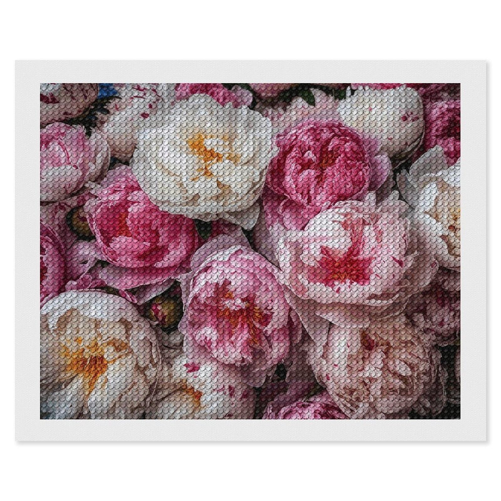 Diamond Painting Kits for Adults - DIY Diamond Art Kits for Beginners - Full 5D Paint Drill Diamond Dots Paintings- Peach And White Peonies Diamonds Pictures Gem Art And Craft Wall Decor 16"x20"