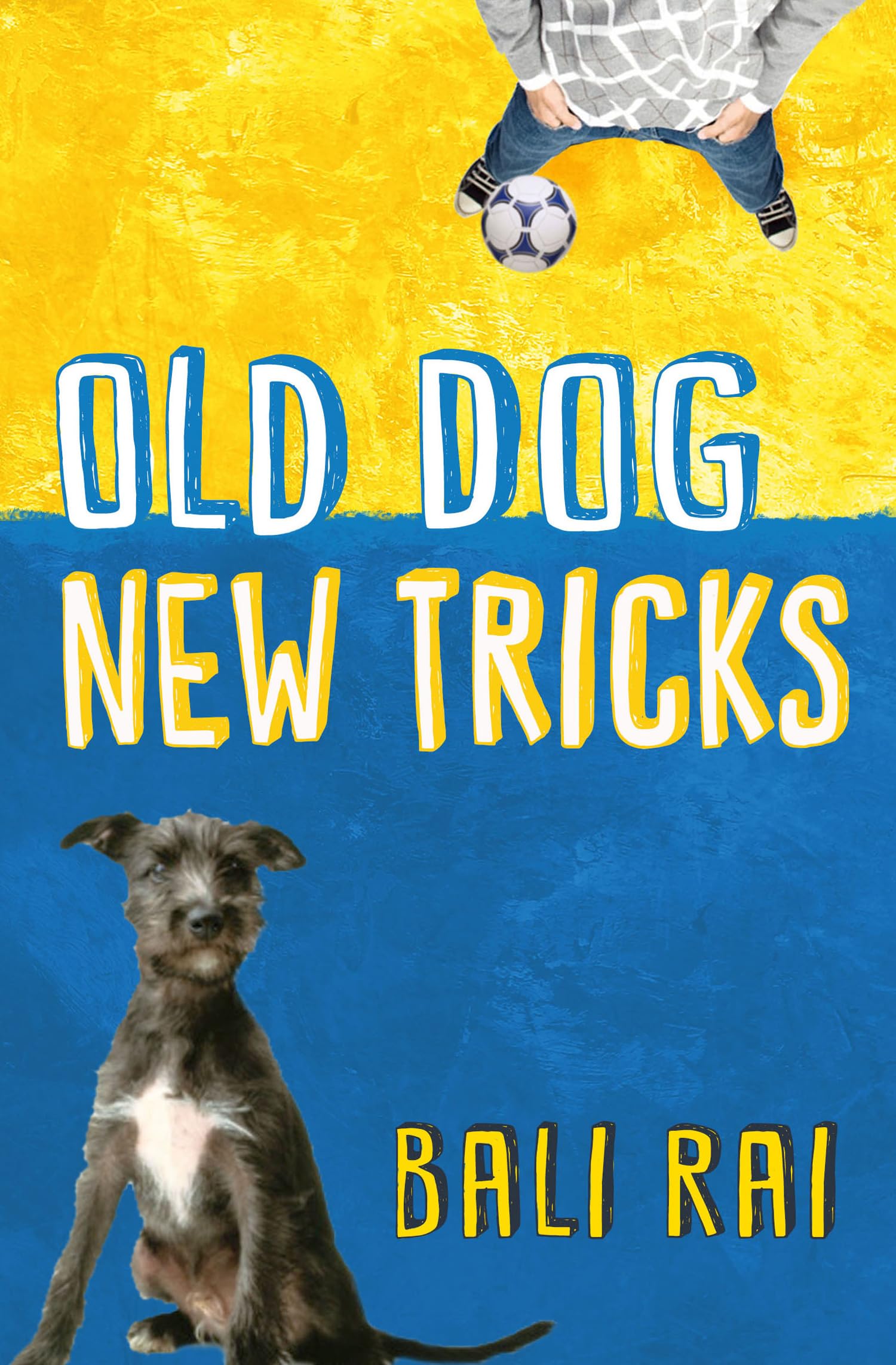 Old Dog, New Tricks: (Dyslexia-friendly)
