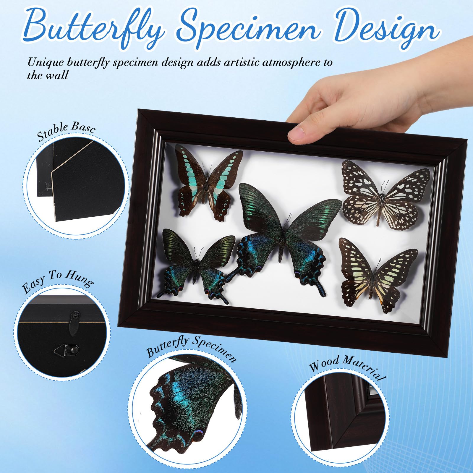 Marco de Muestra de Mariposas en Madera con Acabado Exquisito para Decoración de Pared, Adorno Adecuado para Sala de Estar y Obsequio de Cumpleaños