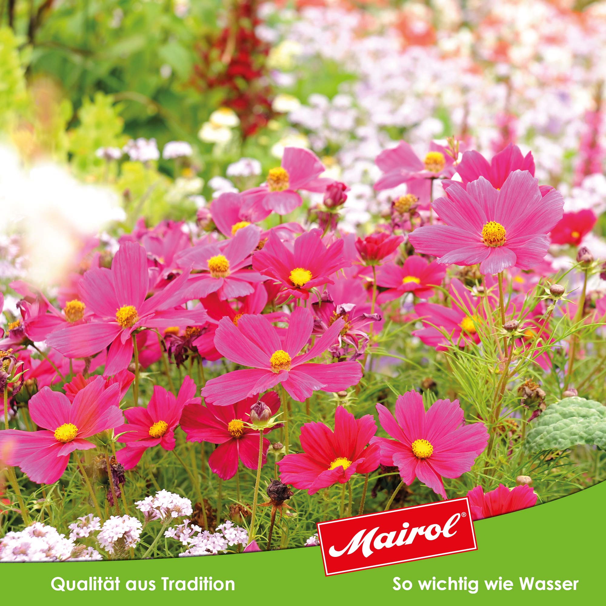 Mairol 4100 Liquid Concimi fioritura e Piante da Fiore 1 L