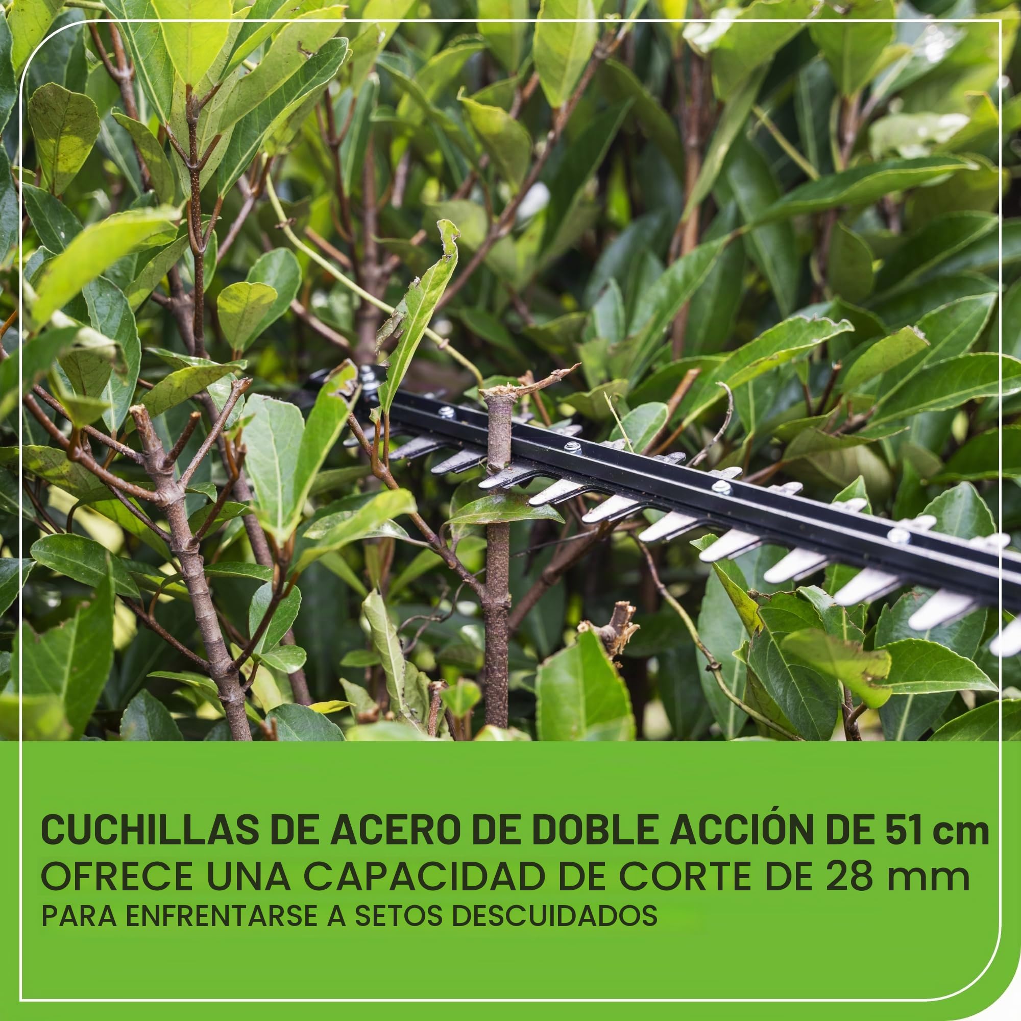 Greenworks 40V Cortasetos con Eje Divisible, Cuchillas Doble Acción de 51 cm, Corta Ramas 28 mm Grosor, Pivote Cabezal de 112.5°, 3200 SPM SIN Batería ni Cargador PH40B01-01