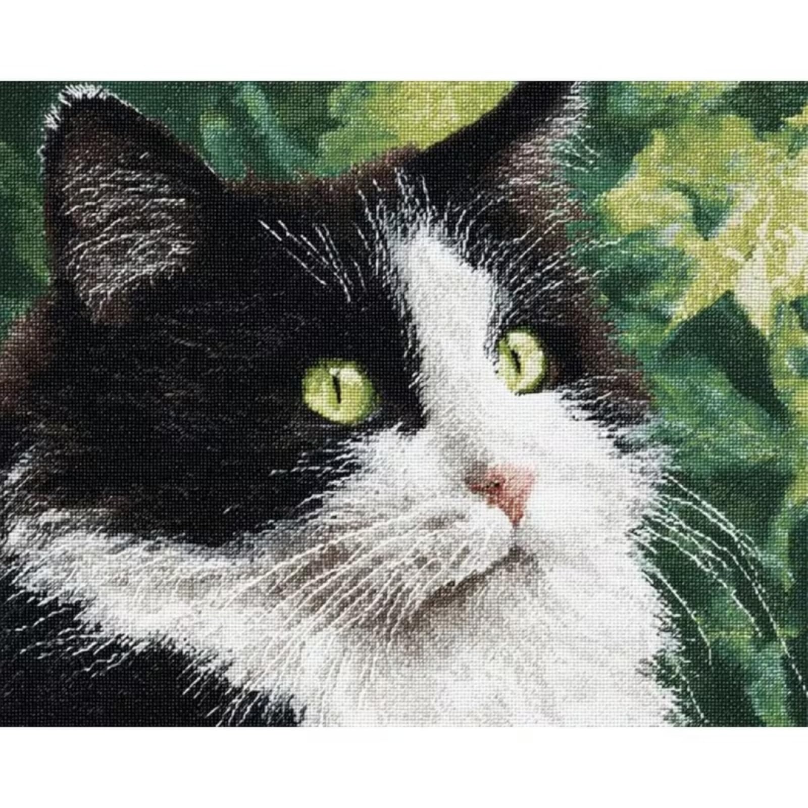 XDEGHUANGSS DIY Knüpfteppich Set Komplettes für Erwachsene & Anfänger,Schwarz-weiße Katze,Knüpfen-Set mit Werkzeug & Anleitung,zum Selbermachen von Teppichen & Kissen,Bastelset für Wohndeko-55x75cm
