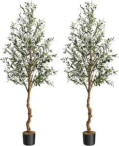 GAOMON Artificial Olive Tree 6FT(72in) Tall Faux Olive Trees with Silk Leaves for Home Office Living Room Decor Indoor Fake Olive Tree with Curved Wood Trunk and Lifelike Fruits Set of 2