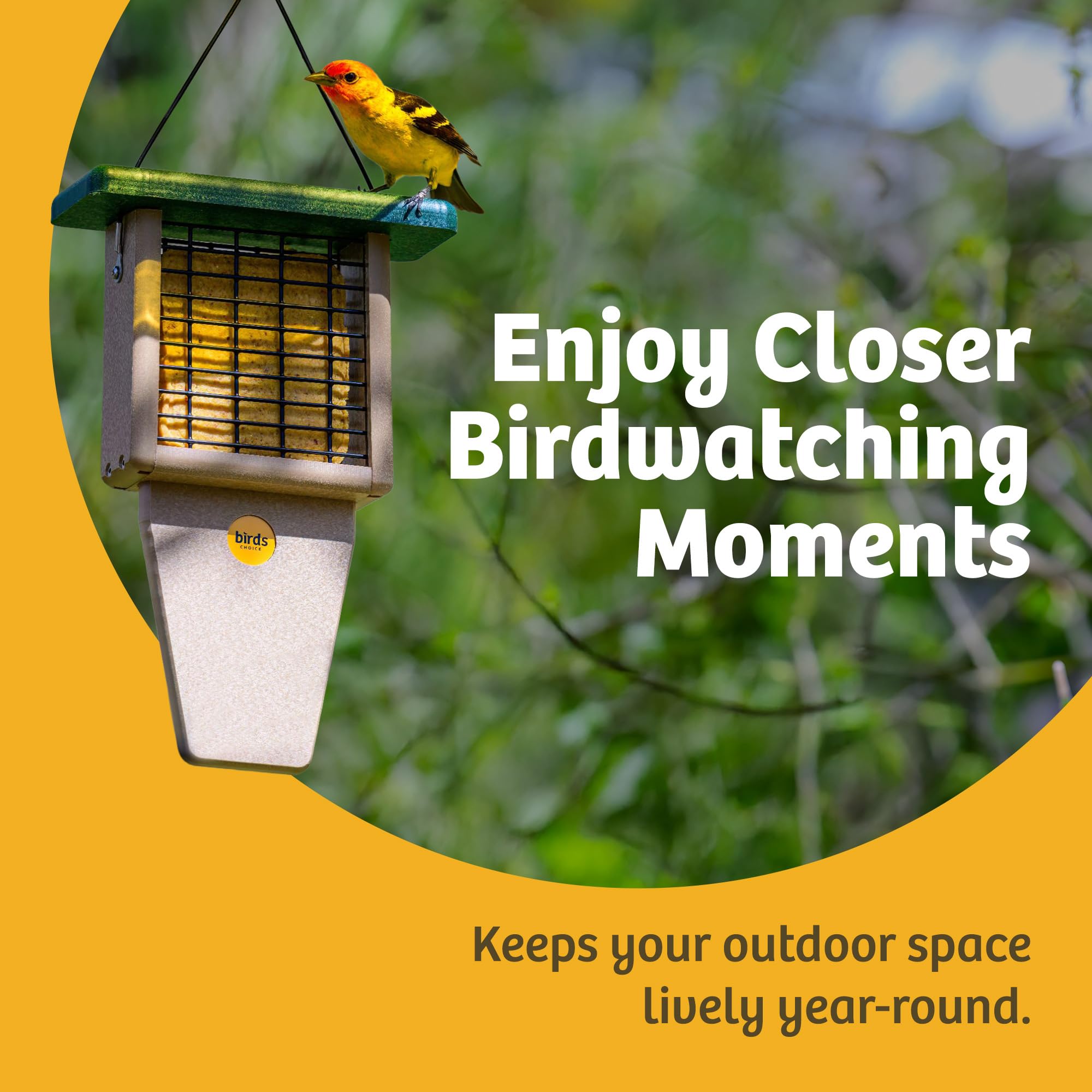 Birds Choice SNTP Bird - Comedero de sebo con Parte Superior Verde, Beige