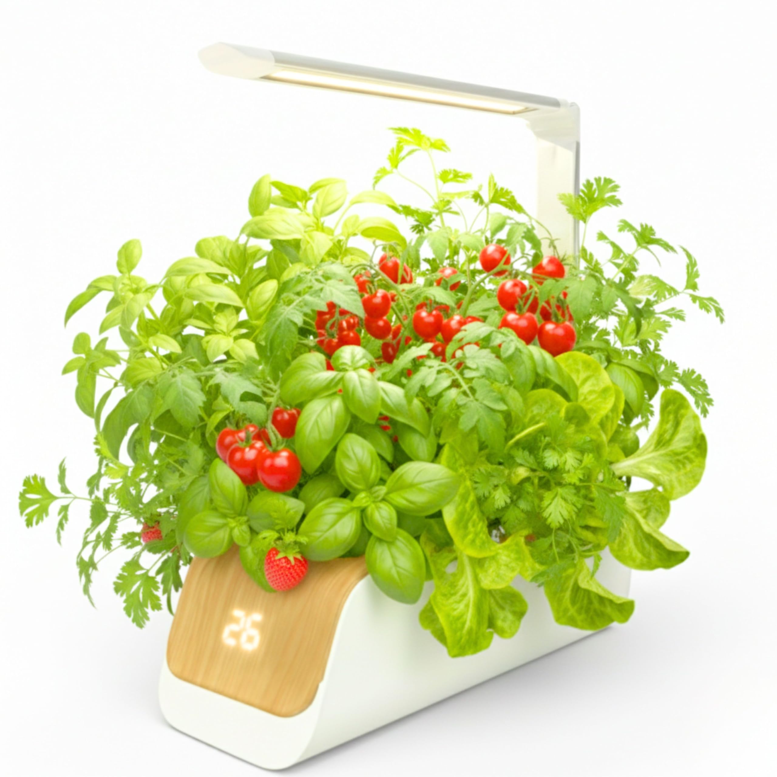 Amazon.co.jp: 水耕栽培キット 植物育成ライト led 自動水やり 自動