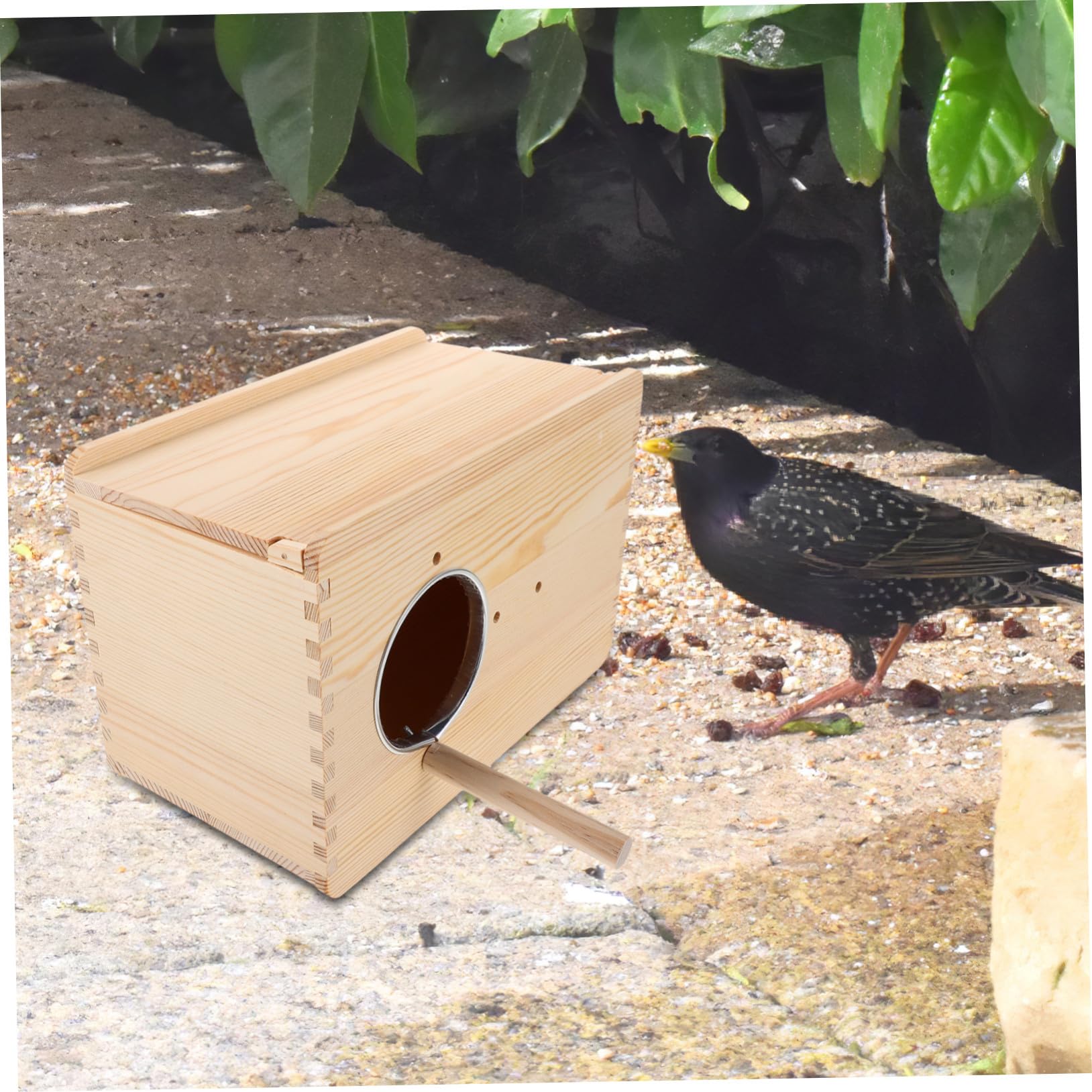 UPKOCH Nido in per Pappagalli Isolante Termico per Cocorite e Agapornis Scatola Allevamento con Rotondi e Posatoio Design da Appendere