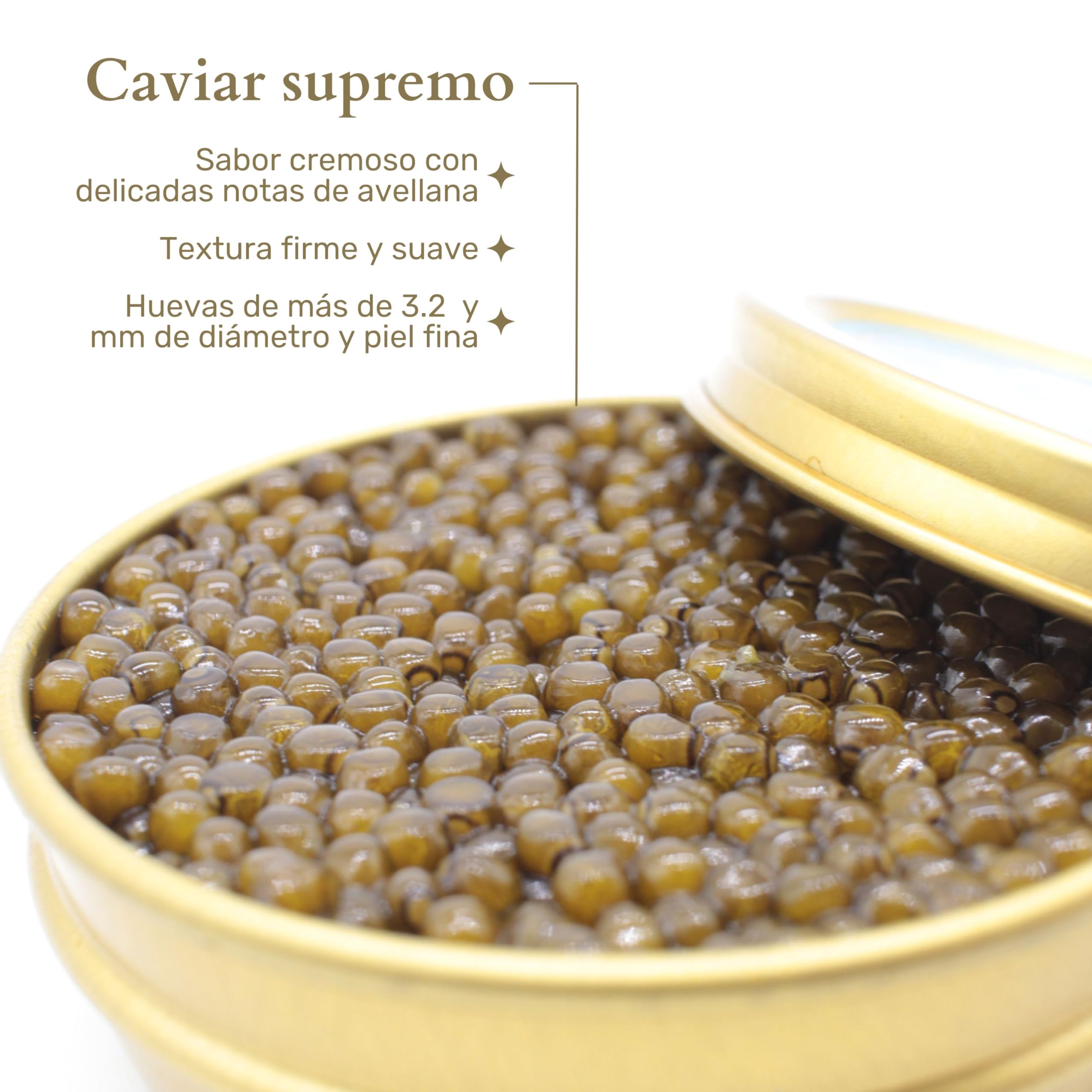 Caviar del Tíbet – Caviar Beluga 100 GR – Caviar de Esturión Huso Dauricus – Huevas de Caviar Kaluga – Caviar Gourmet…
