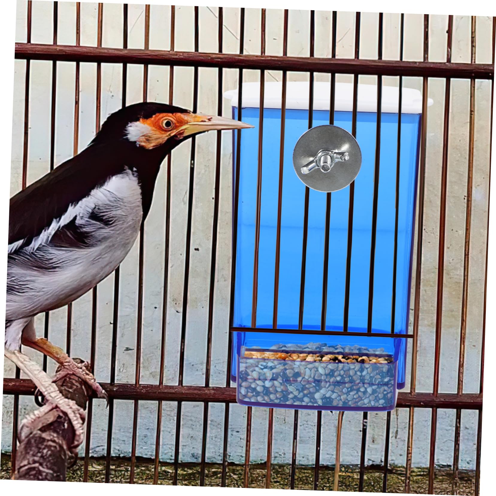 VANZACK Scatola Da 5 Pezzi scatola di cibo per uccelli mangiatoie per uccelli mangiatoia per bird feeder gabbia per gabbie per porta cibo per Acrilico