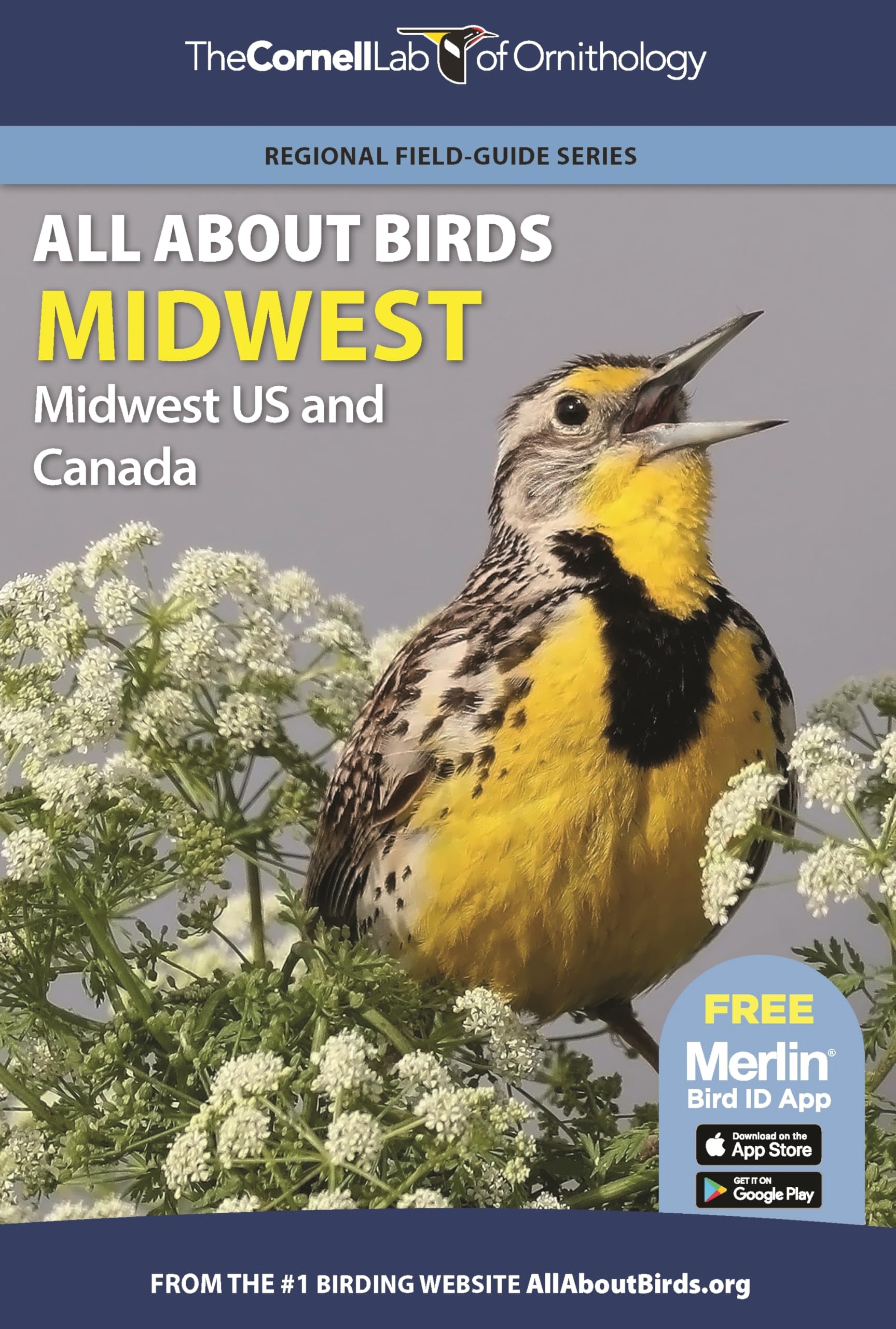 All About Birds Midwest: Midwest US and Canada (Cornell Lab of Ornithology) Paperback – March 1, 2022