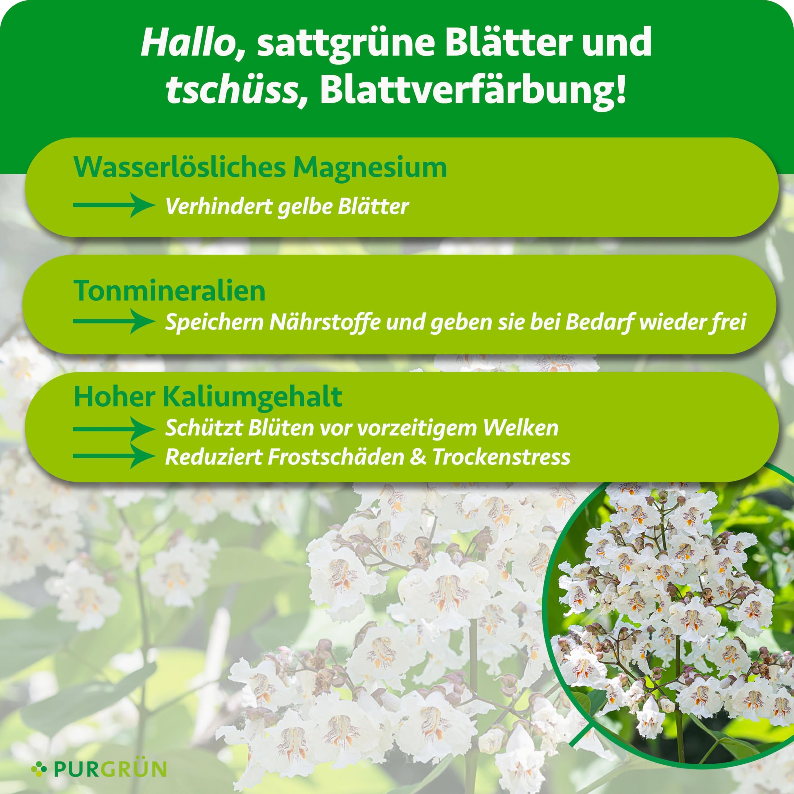 Trompetenbaum-Dünger 1 kg – Leuchtende Blüten dank Spezial-Rezeptur – Magnesium für leuchtende Blattfärbung – Schnelles Wachstum dank extra Stickstoff – Baumdünger für ca. 2-3 Bäume