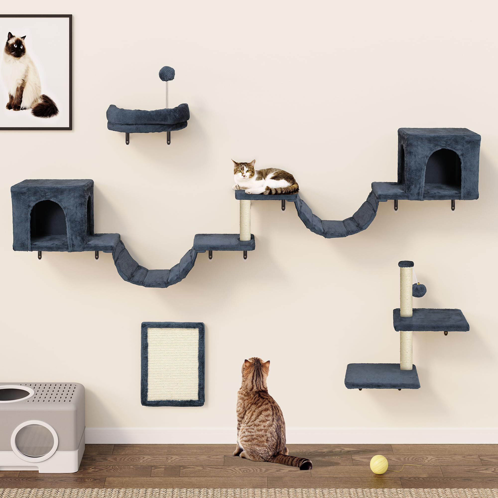 YITAHOME 8PCS Estante de Escalada para Gatos Montado en La Pared, Muebles de Pared de Madera para Gatos Árbol para Gatos con Postes Rascadores/Casa/Puente/Escaleras/Bola Colgante, Gris Oscuro