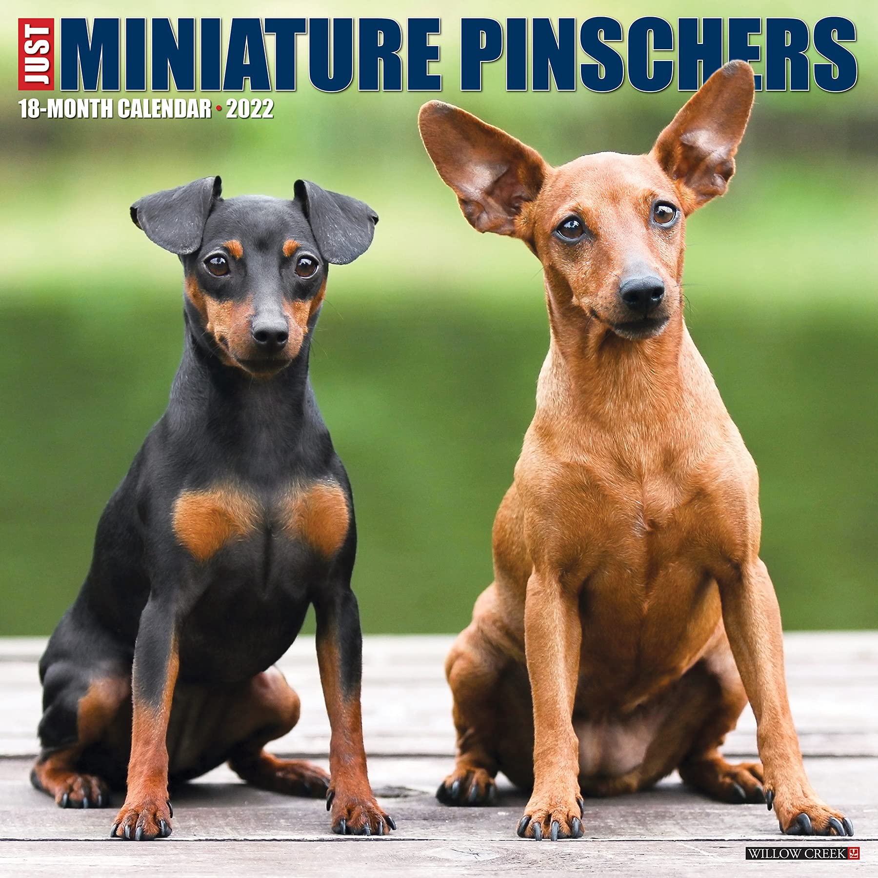 Just Miniature Pinschers 2022 Wall Calendar (Dog Breed) Calendar – Wall Calendar, 15 September 2021