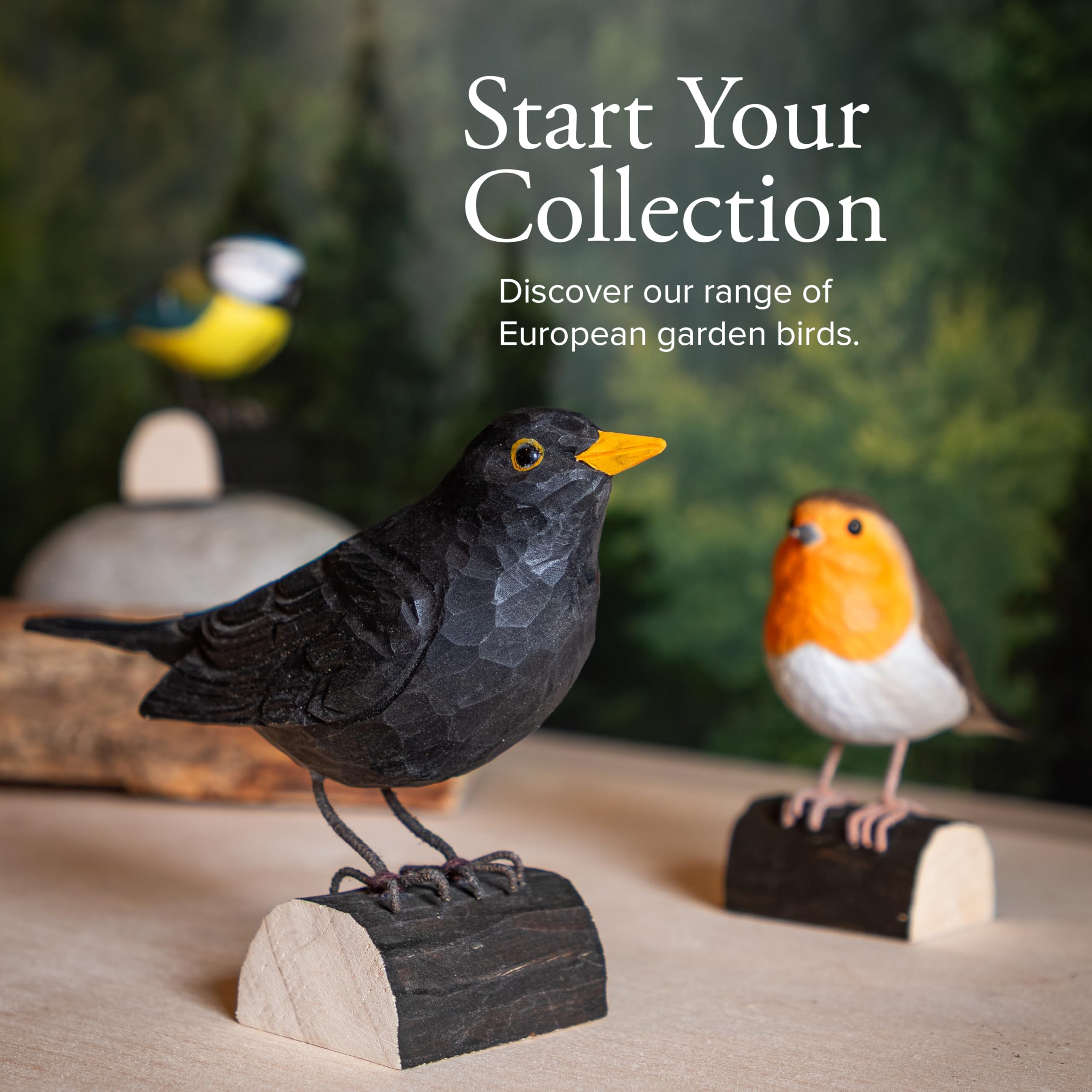 WILDLIFEGARDEN WG411 DecoBird kos - ręcznie rzeźbiony dekoracyjny ptak z drewna - średnie ptaki europejskie