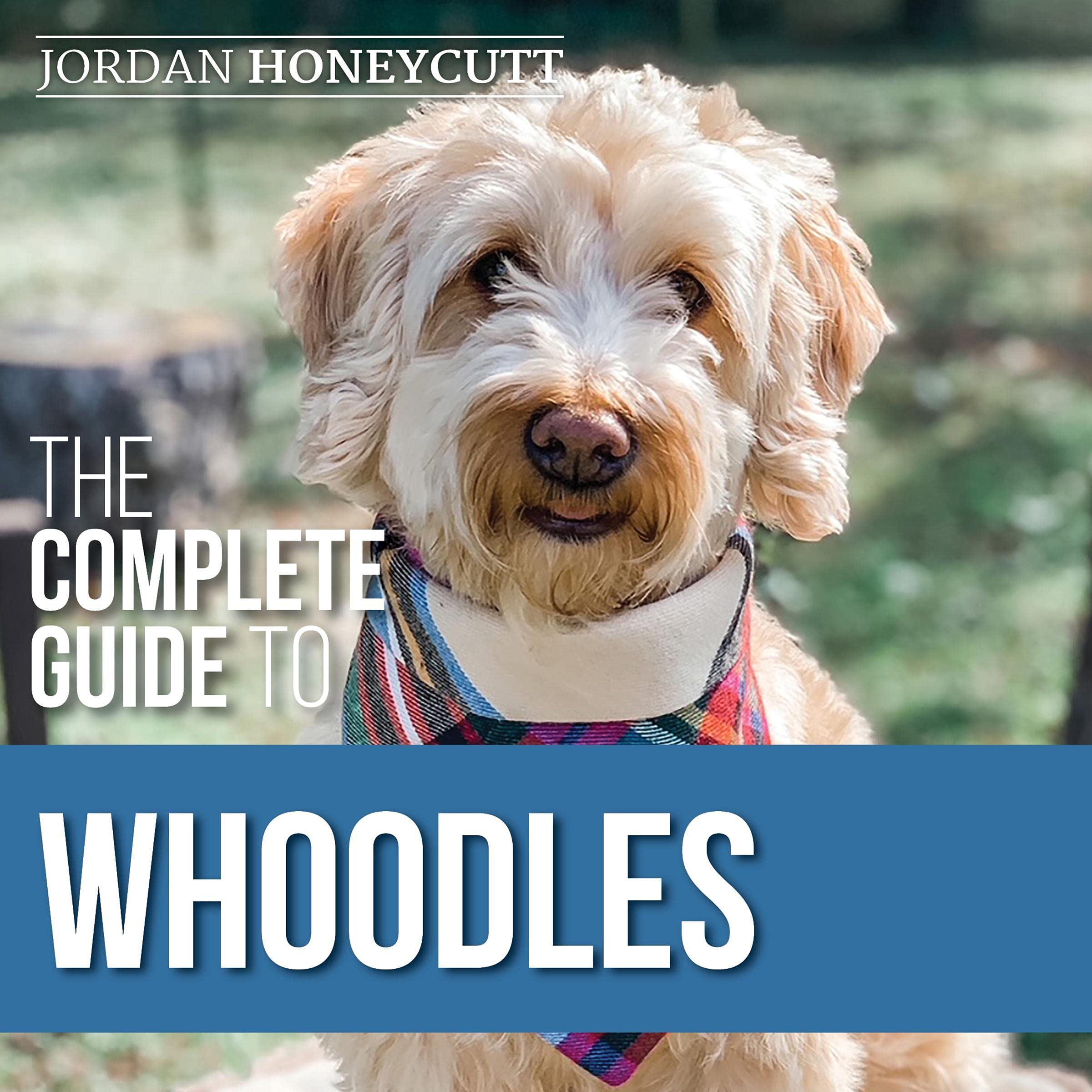 The Complete Guide to Whoodles