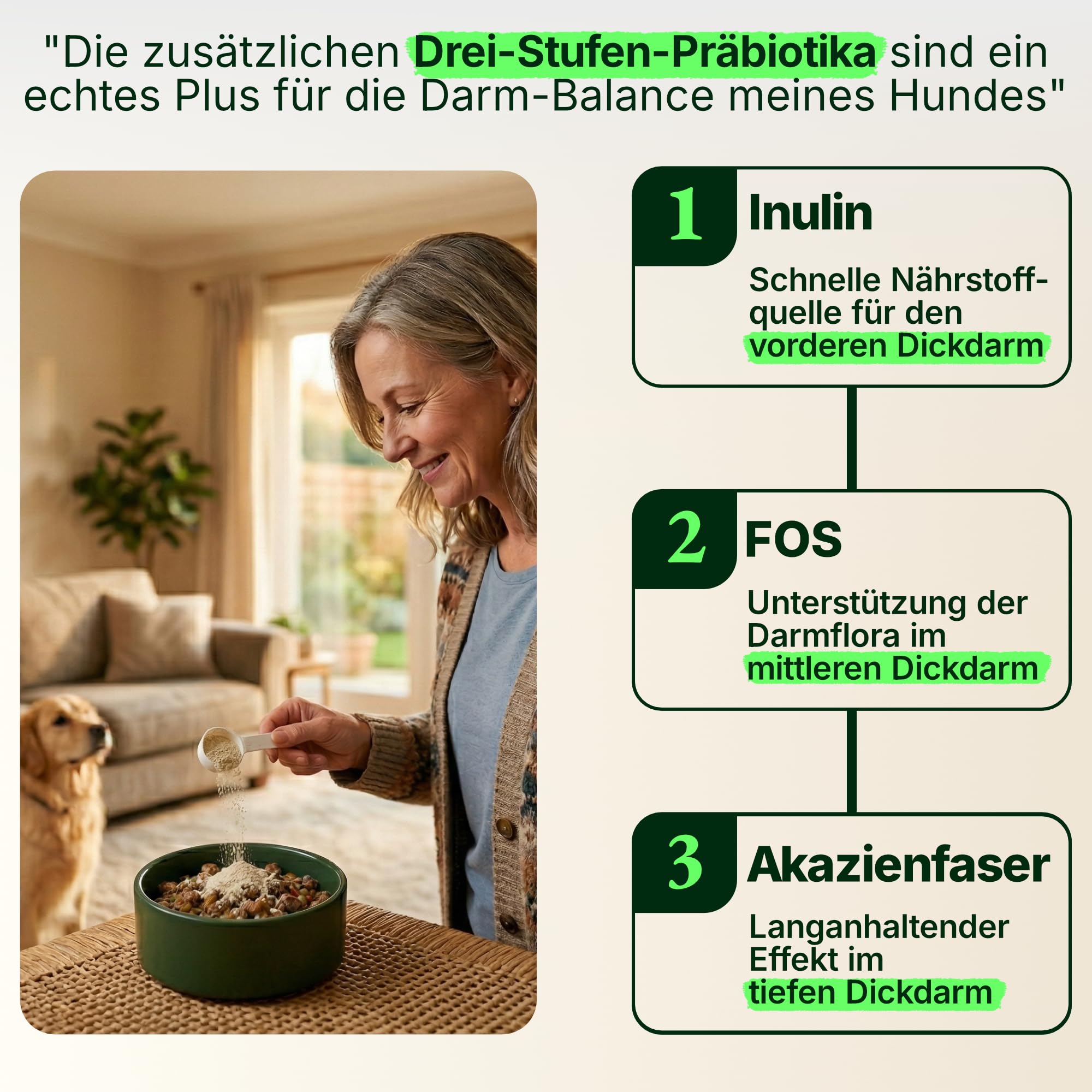 Probiotika & Präbiotika für Hunde Pulver – HOCHDOSIERT – Kann bei Darmflora Aufbau, Magen-& Darmkur, Grasfressen unterstützen – Mit Akazienfaser & 3 Stämmen – 150g Pulver – Reicht bis zu 10 Monate