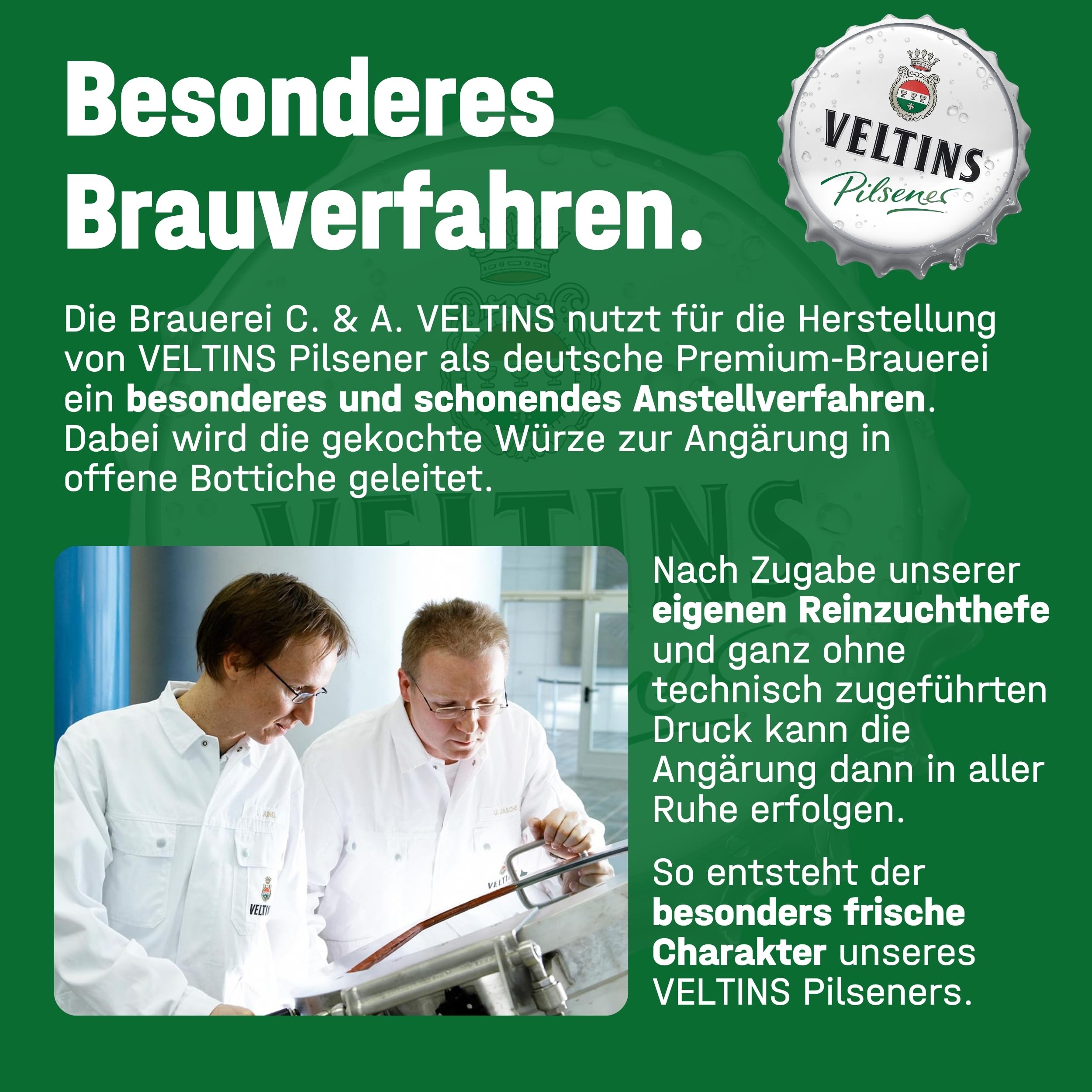 VELTINS Pilsener – 24 x 0,5 l Dosenbier (EINWEG) – Fein-herbes Premium Pils – Brautradition seit 1824 – Frisch & ausgewogen – 4,8 % vol. Alkohol