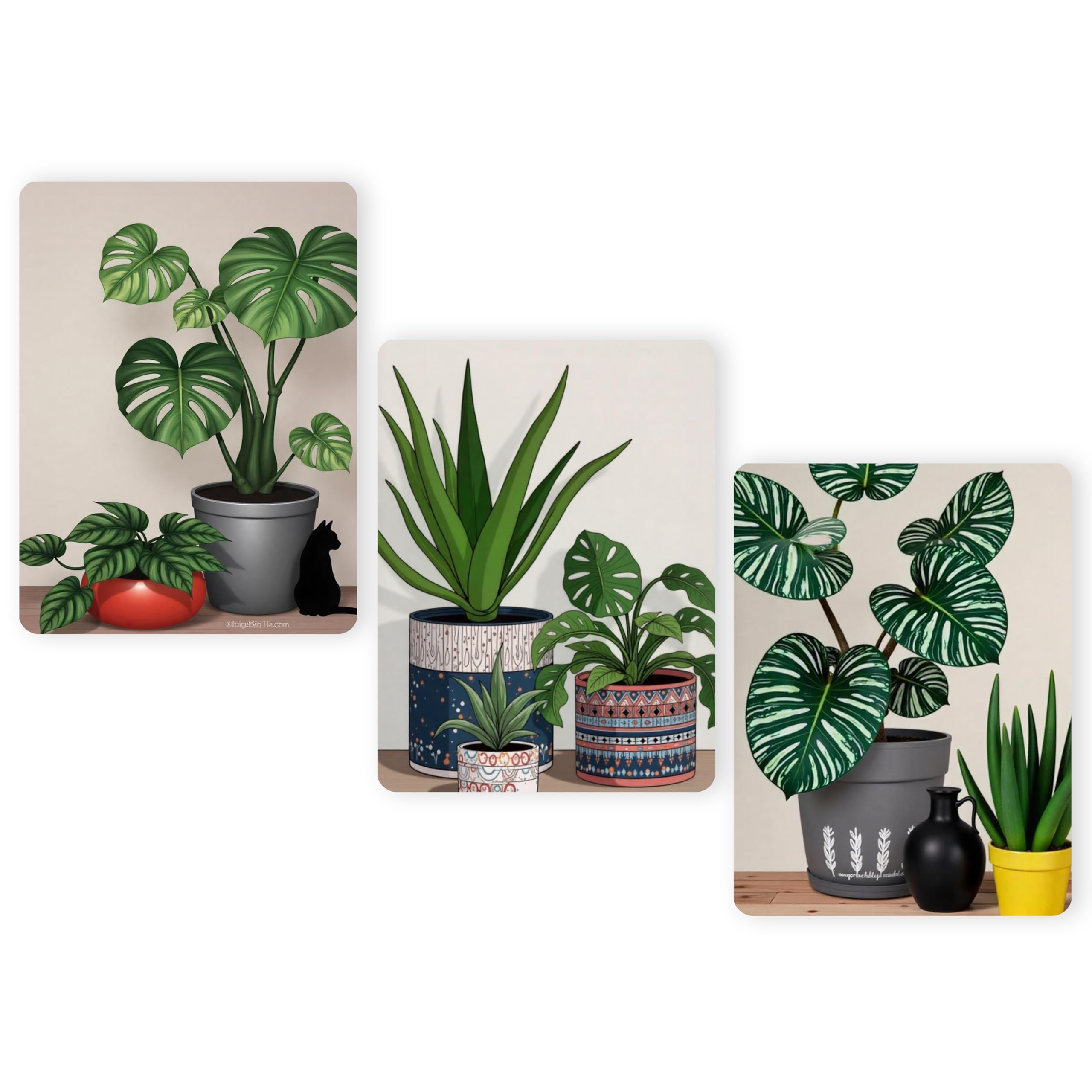 Regalo Casila 3 Piece Wall Art Set – Botanical Plant Pots Design for Modern Nature-Inspired Decor – Peel and Stick MDF Frames for Bedroom Living Room Office-image-8