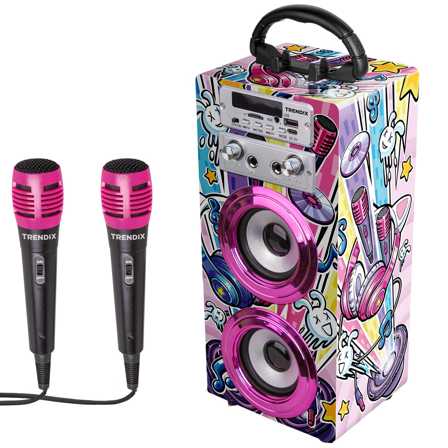 Karaoke Portatile HWWR Con 2 Microfoni Wireless | Bluetooth 5.3, 60W | Con Eco E Batteria 6000mAh