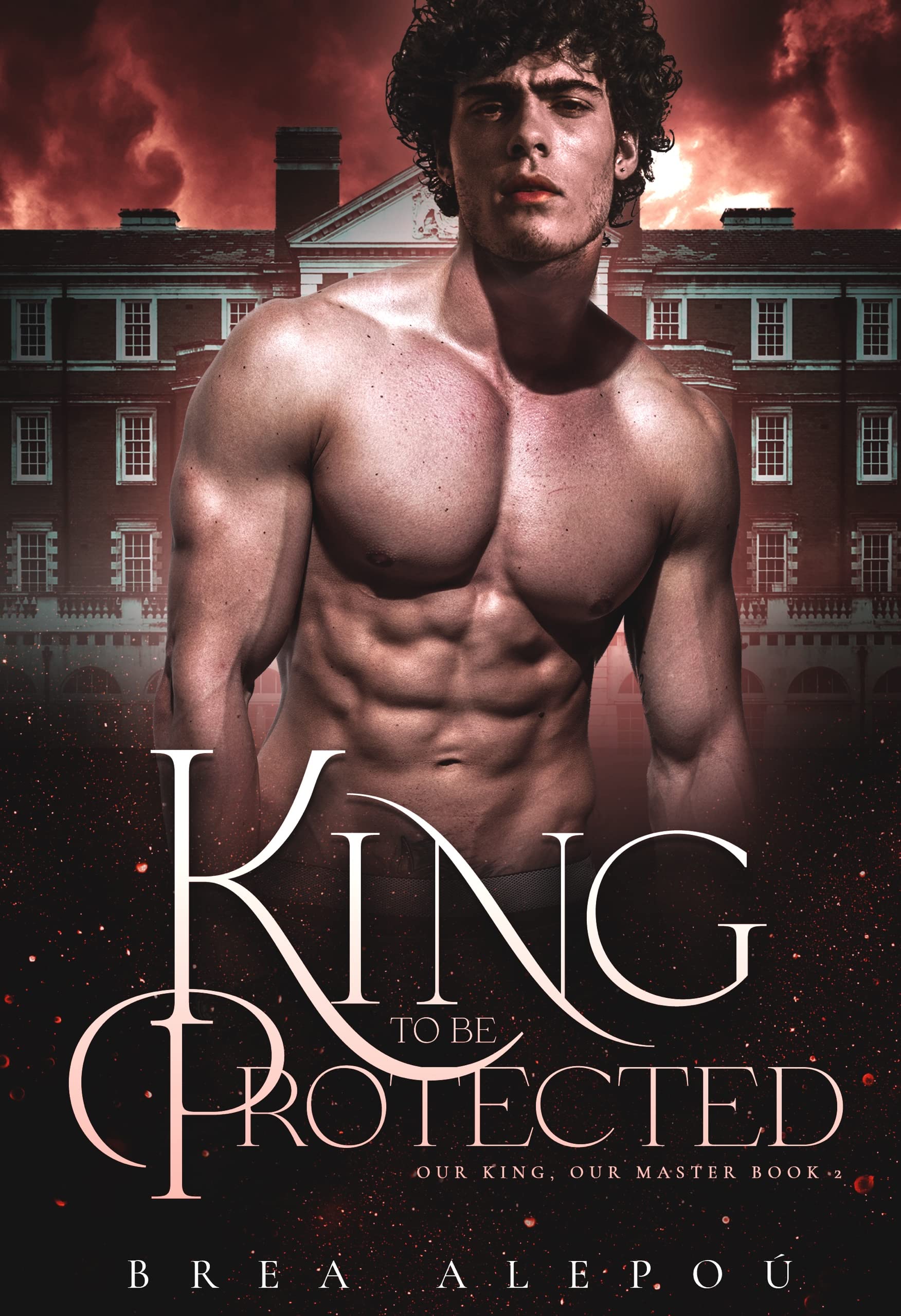 A King to be Protected: MMMM+ Fantasy Romance (Our king, Our Master Book 2)