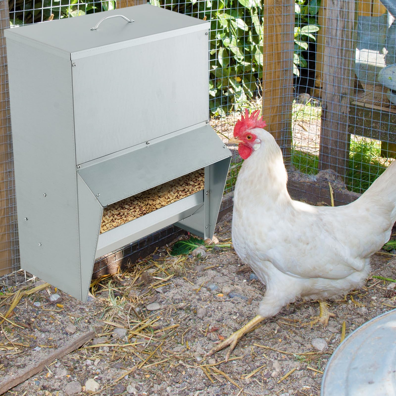 COSTWAY Mangeoire Poules XXL Anti Nuisible 22 kg, Fixation Murale/Sol, Métal Galvanisé, Mangeoire Poule Automatique pour Canards Oies Faisans Dindes, Ideal Microfermes et Élevages Familiaux