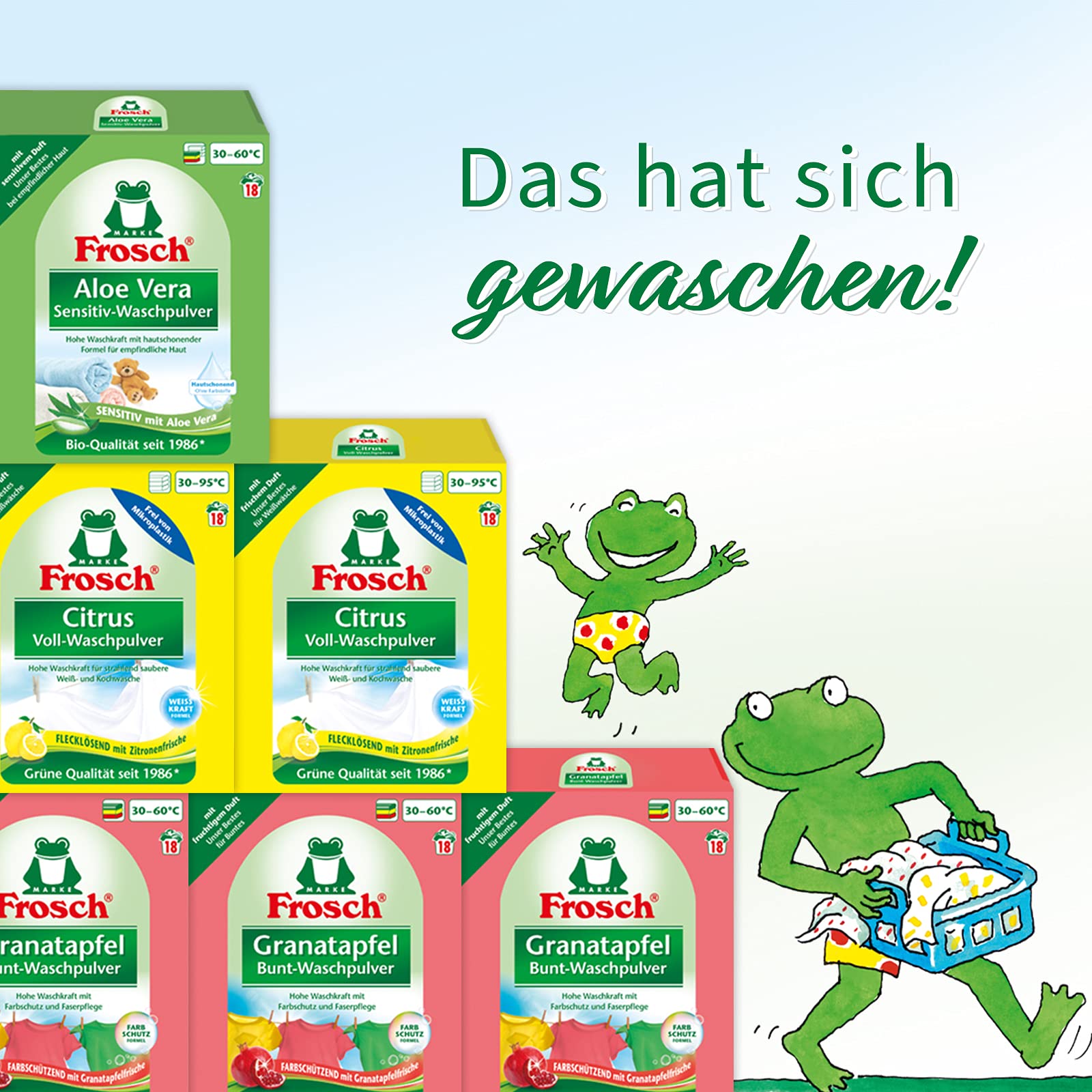Frosch Aloe Vera Sensitiv-Waschpulver 18WL, 1,35 kg : Amazon.de: Drogerie &  Krperpflege