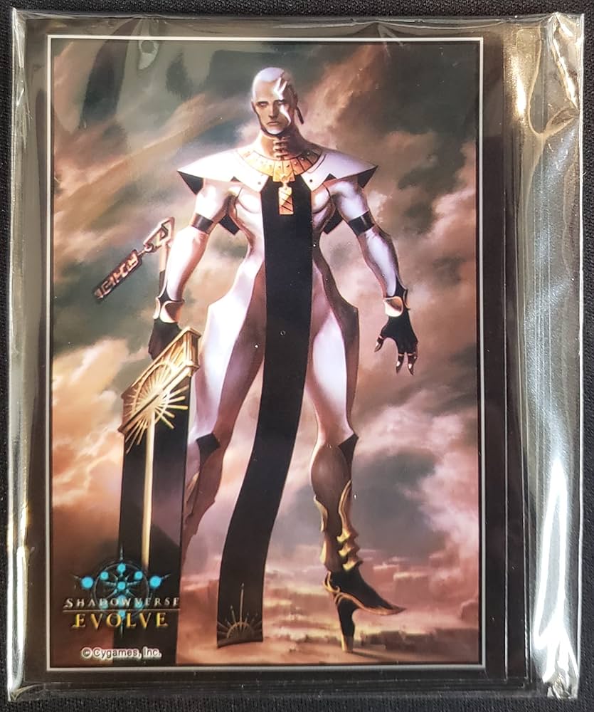 Amazon.co.jp: Shadowverse EVOLVE ブースターパック第5弾「永劫