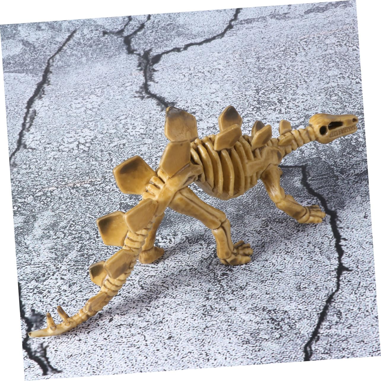 Abaodam 36 Pz scheletro di dinosauro di simulazione giocattolo dinosauro per bambini giocattoli fossili di scheletro fossile di giocattoli per bambini