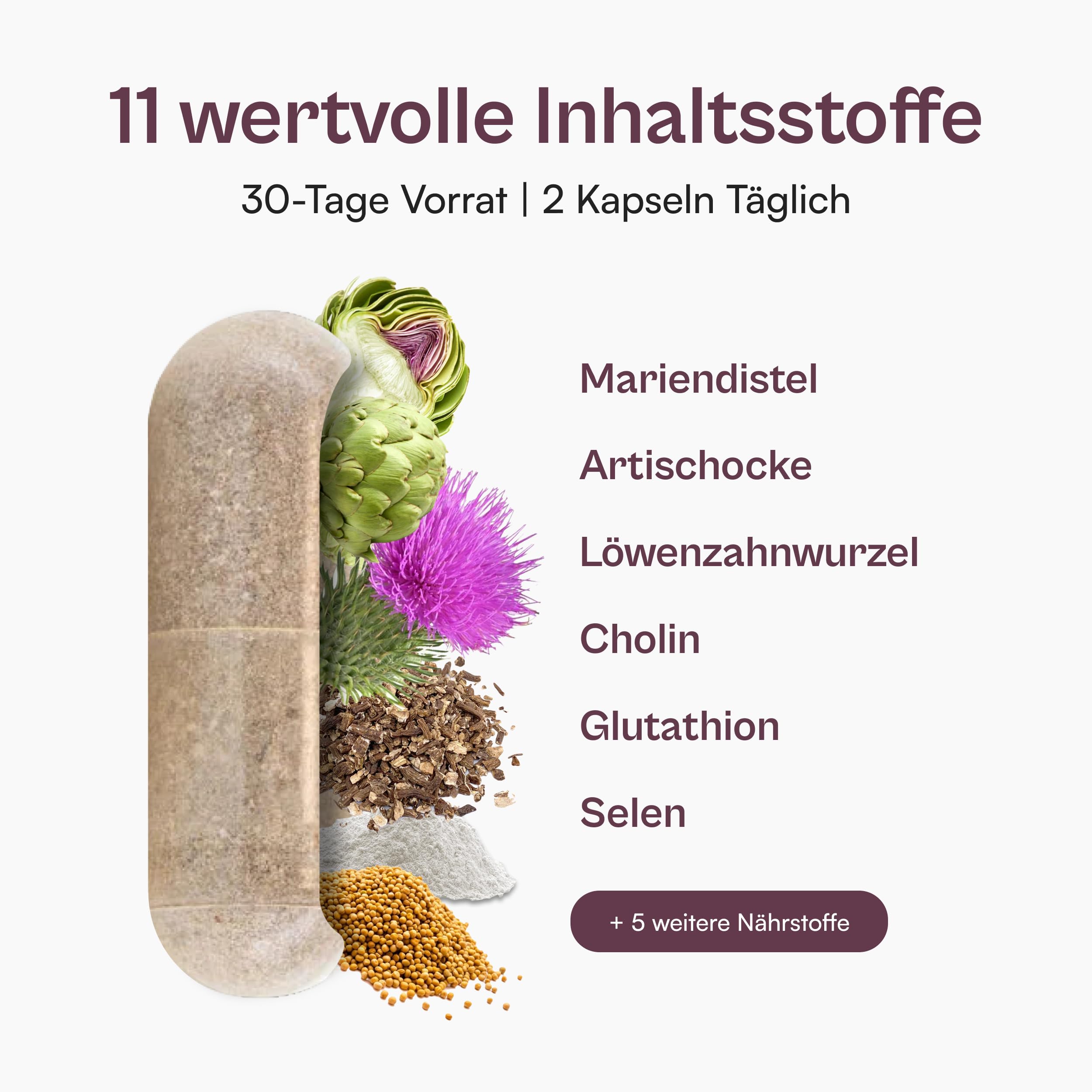miavola® der Umwandler® Schilddrüsen & Leber Komplex mit Mariendistel, Artischocke, Cholin, Glutathion, Selen, NAC + weitere Aminosäuren - 60 Kapseln hochdosiert & vegan