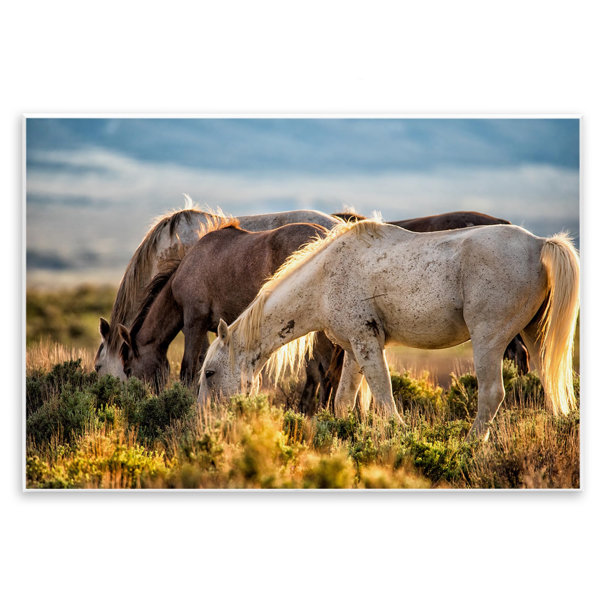 Stupell Industries Evening Horse Grazing Meadow 'Equine Evening Graze', Wall Plaque Art, 15 X 10 Inches, Easy To Hang And Sturdy, Made In Usa, By Tim West