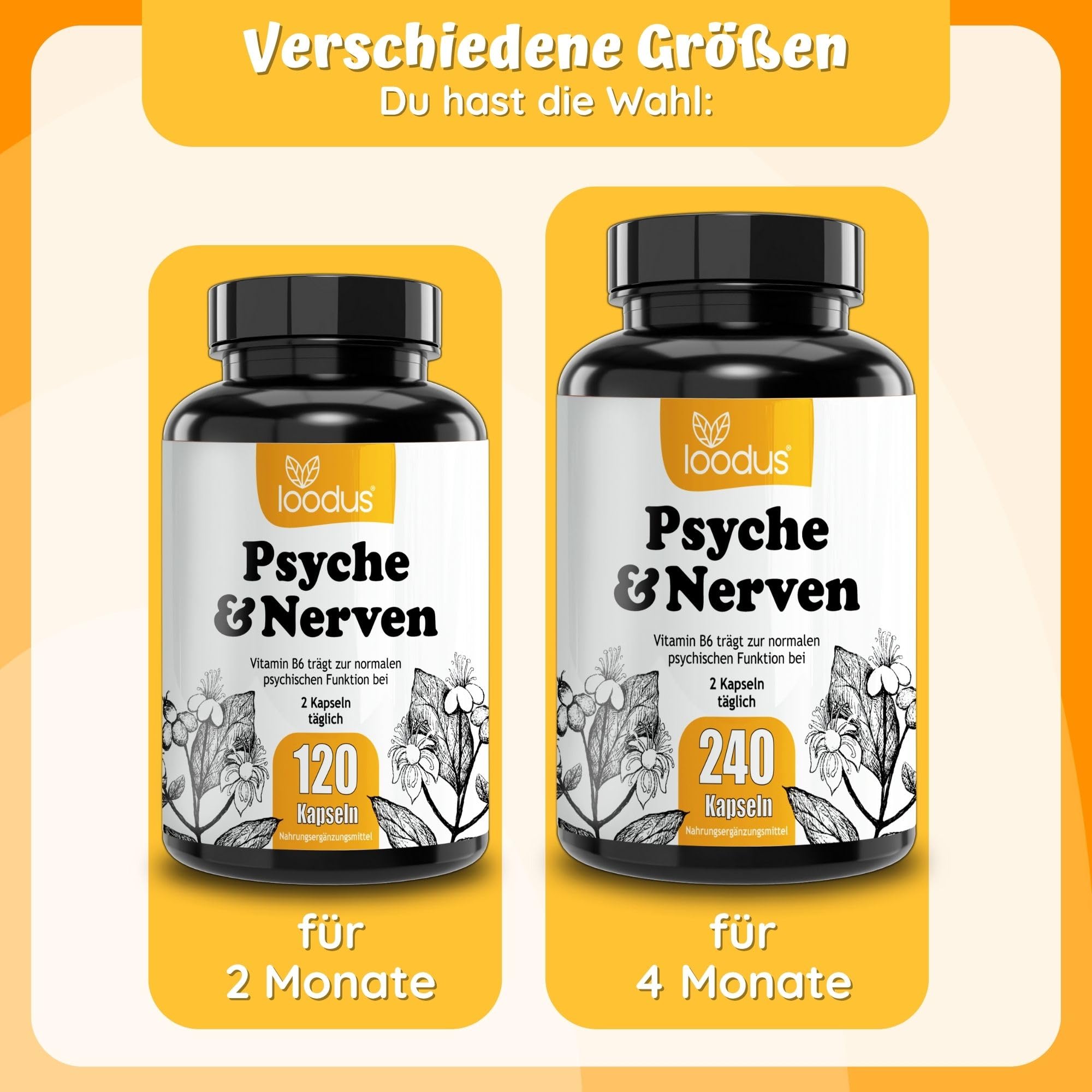 Johanniskraut-Kapseln - 10000mg Johanniskraut hochdosiert aus 10:1 Extrakt (2 Kapseln) + GABA + L-Tryptophan - 4 Monatsvorrat - pflanzlicher Stimmungsaufheller hochdosiert von loodus®