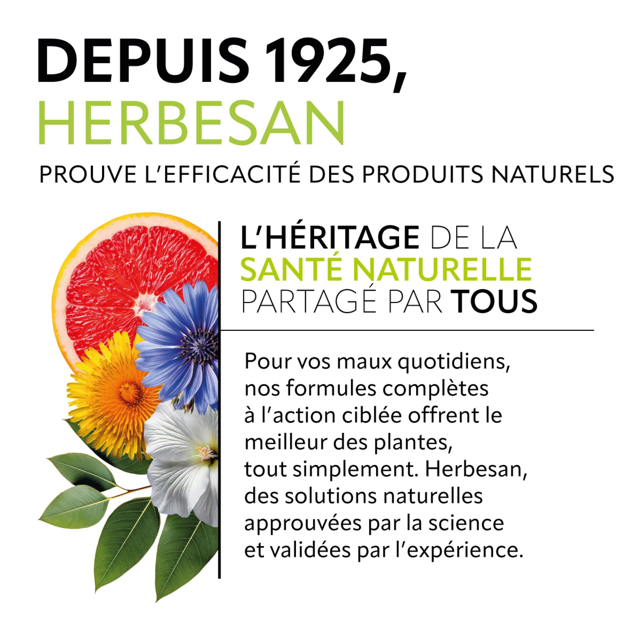 HERBESAN®- PSYLLIUM BLOND BIO - Transit naturel, Bien-être digestif- Fabriqué en France- Sachet papier refermable - Téguments 200 g