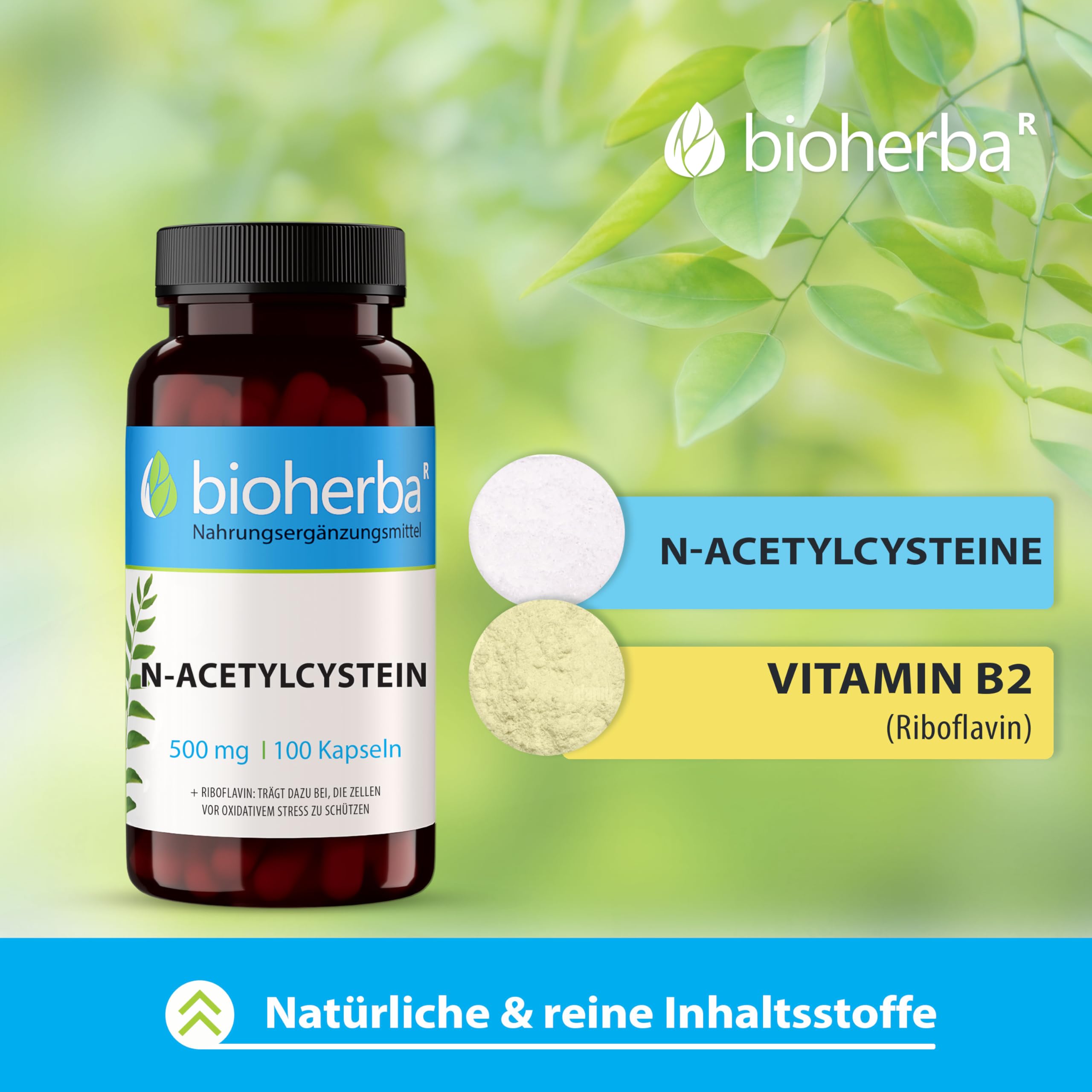 NAC Kapseln – 300 Stück mit 500 mg N-Acetyl-L-Cystein (Aminosäure) von BIOHERBA PZN 18216580