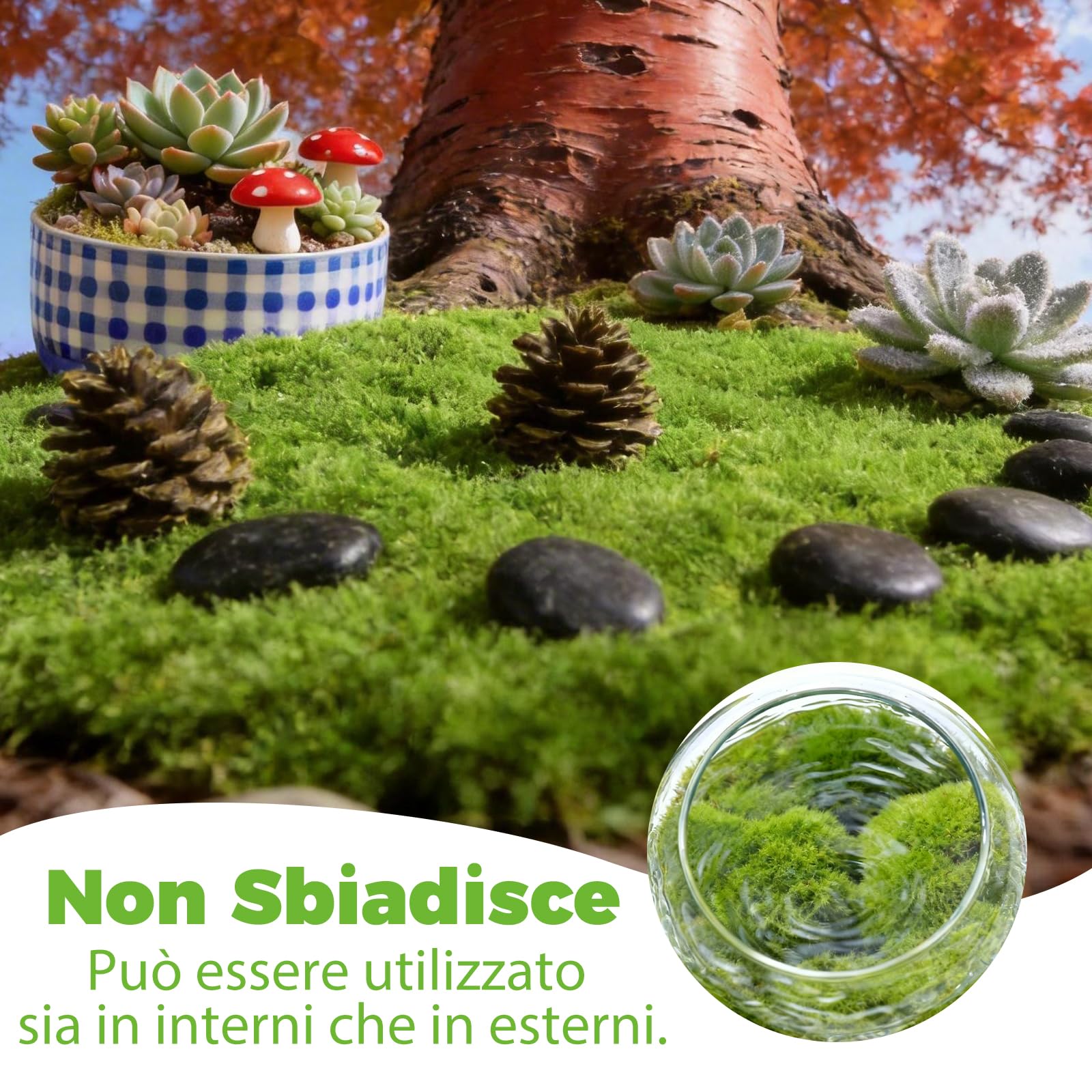 200g di Muschio Stabilizzato Artificiale, Muschio Finto Verde Scuro e Chiaro, Lichene Sintetico Simulazione per Decorazioni, Modellismo, Terrari e Pareti, Ideale per Acquari e Decorazioni per la Casa - 5