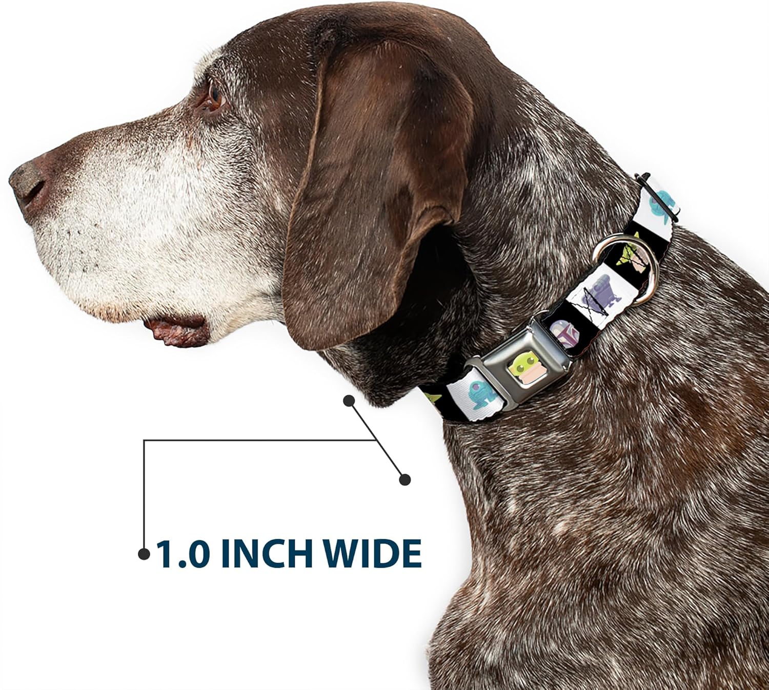 Star Wars Pet Collar, Dog Collar Metal Seatbelt Buckle, Star Wars Mandalorian 4 Character Pose Blocks, 11 to 16.5 Inches 1.0 Inch Wide