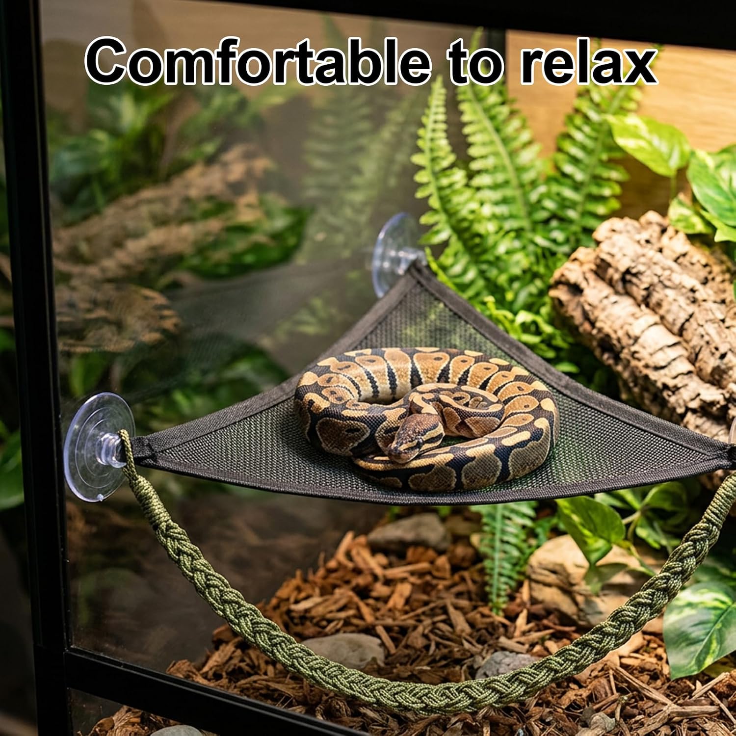 2PCS Snake Climbing Accessories, Snake Enrichment Supplies for Ball Python, Reptile Habitat Decorations for Terrarium Environment Simulation, Climbing Exercise Tools for Small Reptiles