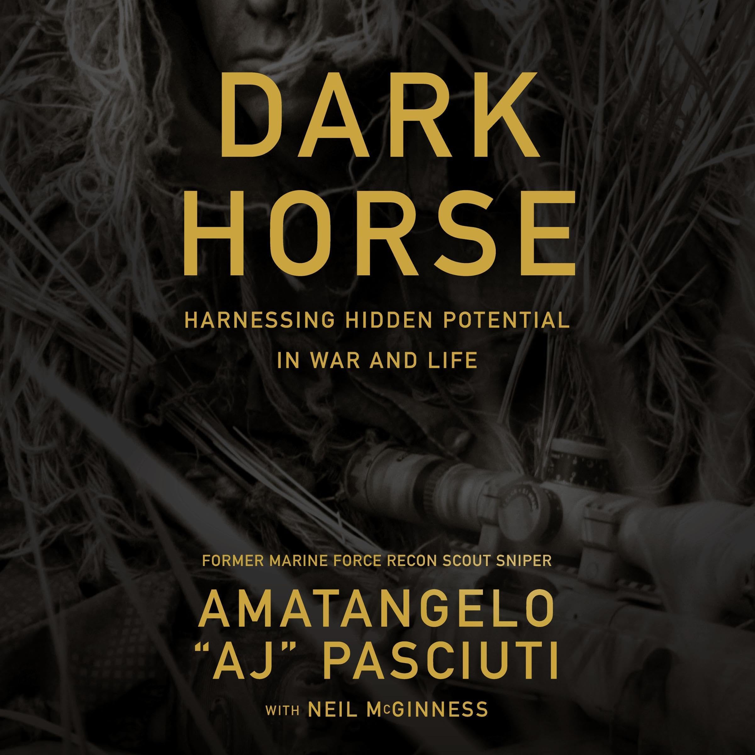 Cover art for Darkhorse