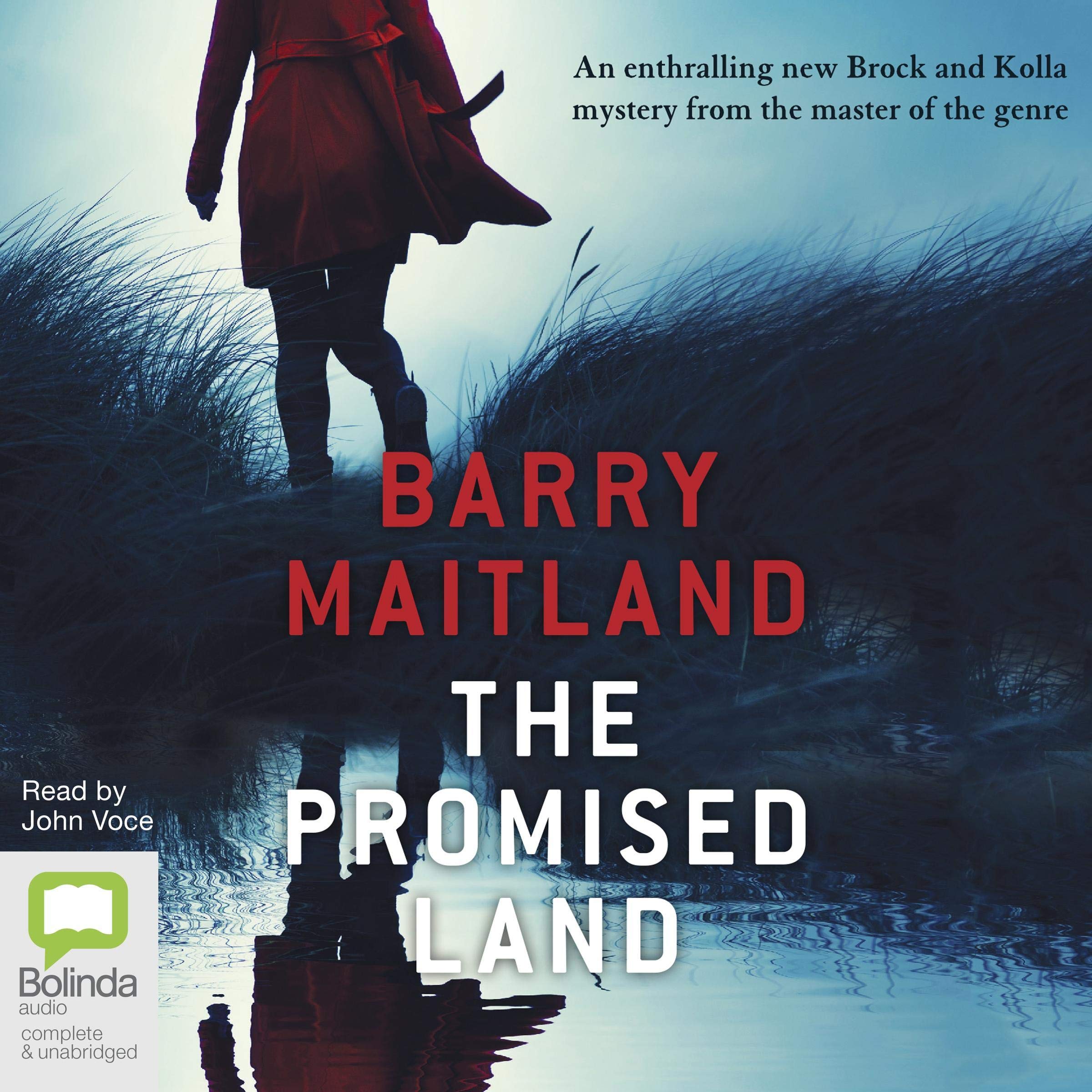 Cover art for The Promised Land