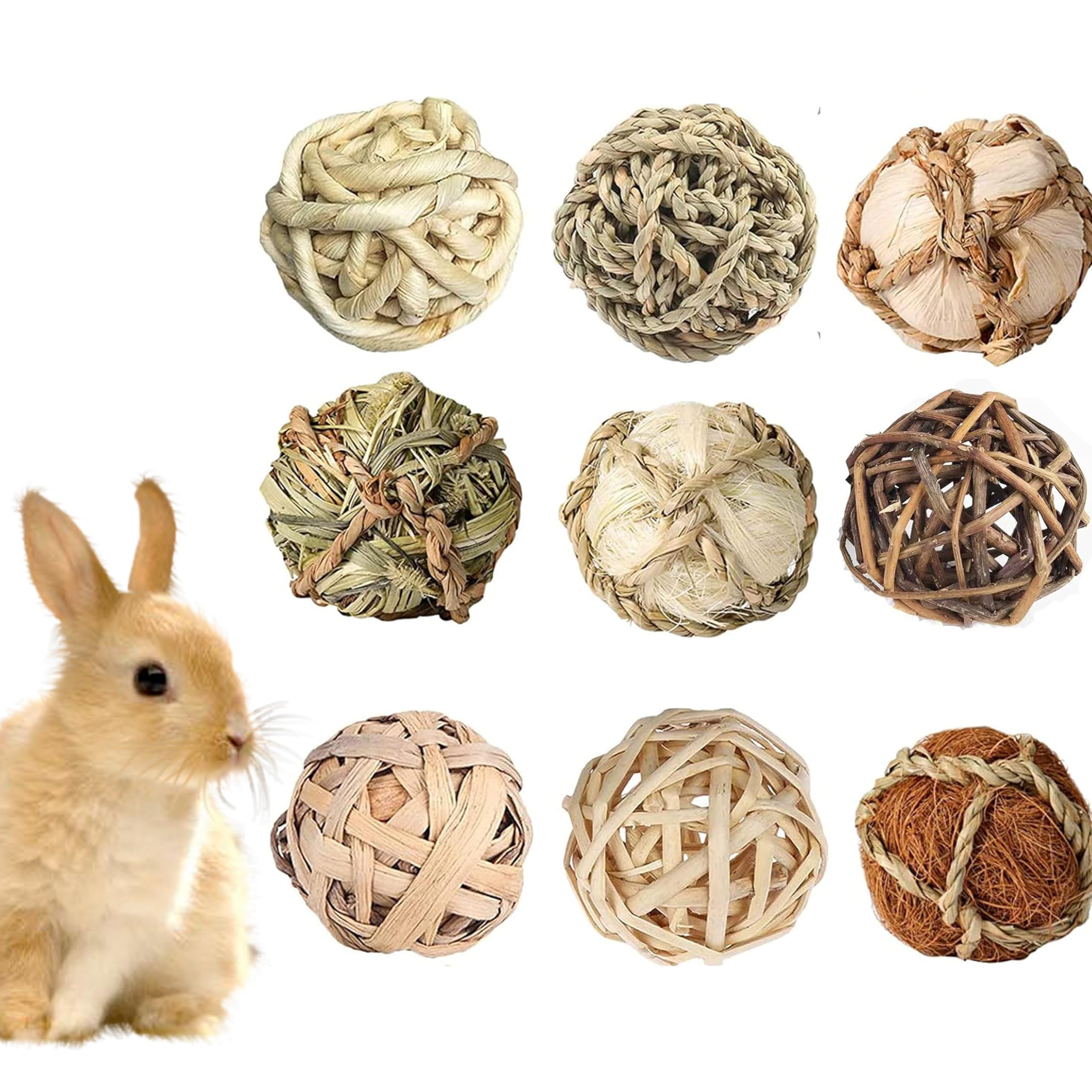 Jouets à mâcher pour petits animaux qui favorisent l'usure dentaire des cochons d'Inde