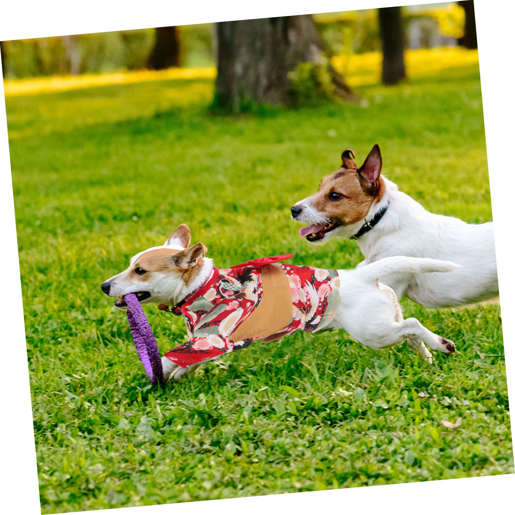INOOMP 2pezzi Abbigliamento Per Cani Stile Kimono Giapponese Vestito Per Corgi e Altri Cani Costume Festivo Per Natale Compleanni e Occasioni Speciali Facile Da Indossare e Confortevole