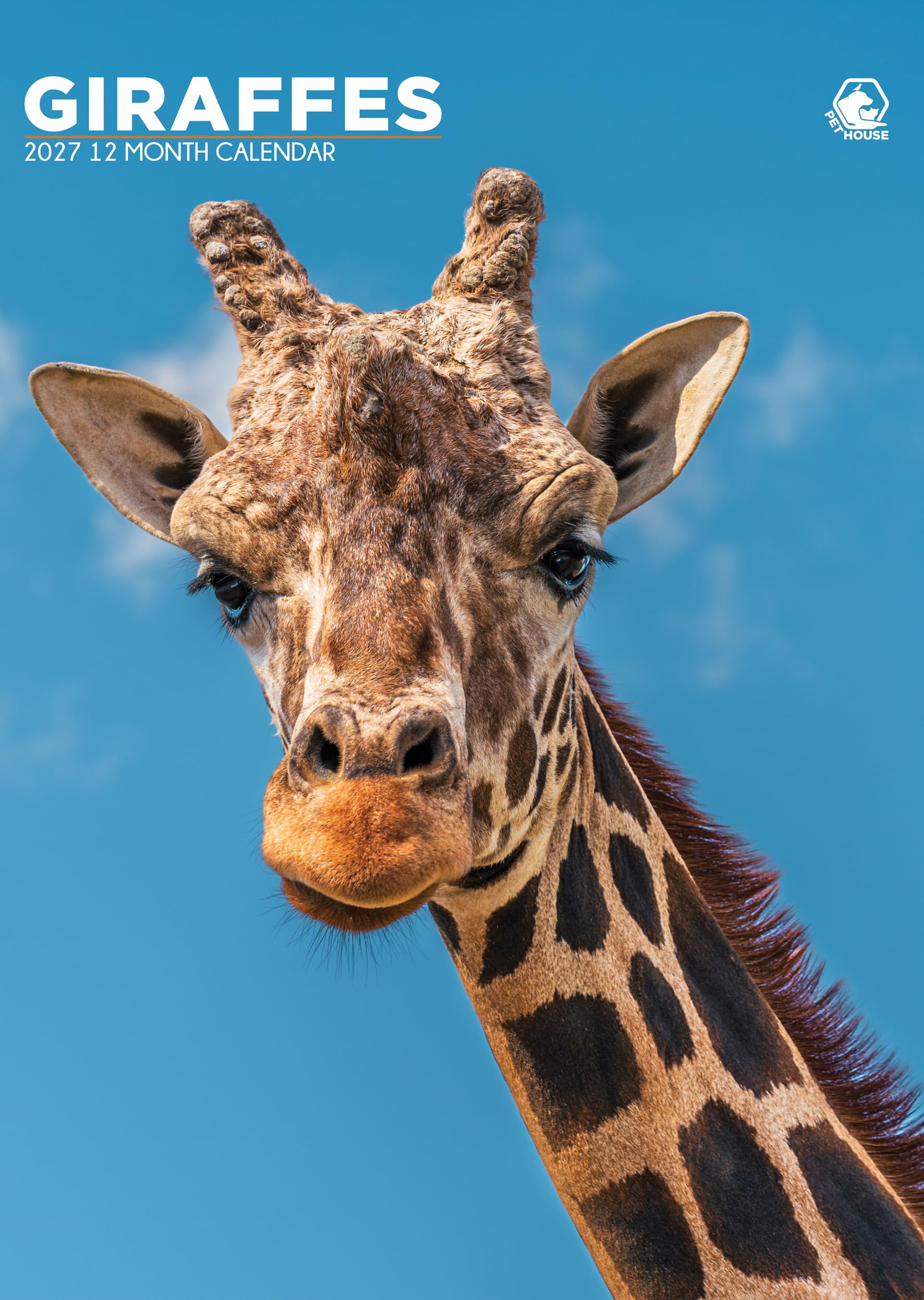 Giraffes Calendario A3 2027 para apuntar citas importantes sin perder espacio en la pared 3
