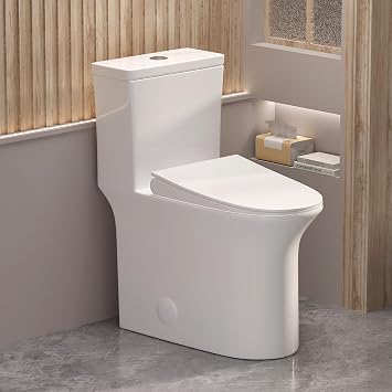 WinZo WZ5023 Tall One Piece Toilet Dual Flush With Comfortable Seat Height 18.75" ADA Compliance For Seniors Tall Disabled Person,12" rough-in, White